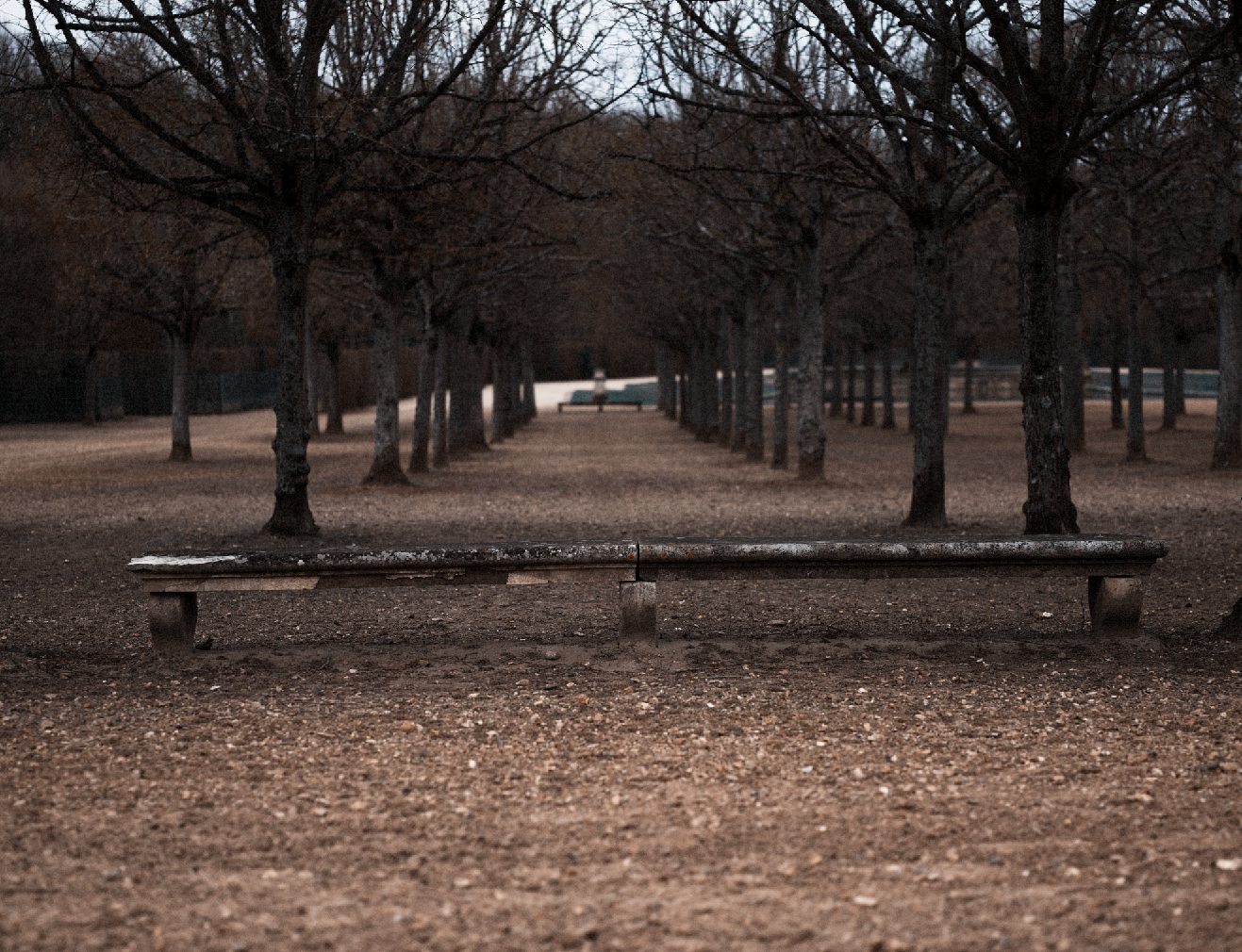 Screen+Shot+2019-03-26+at+23.35.13.png