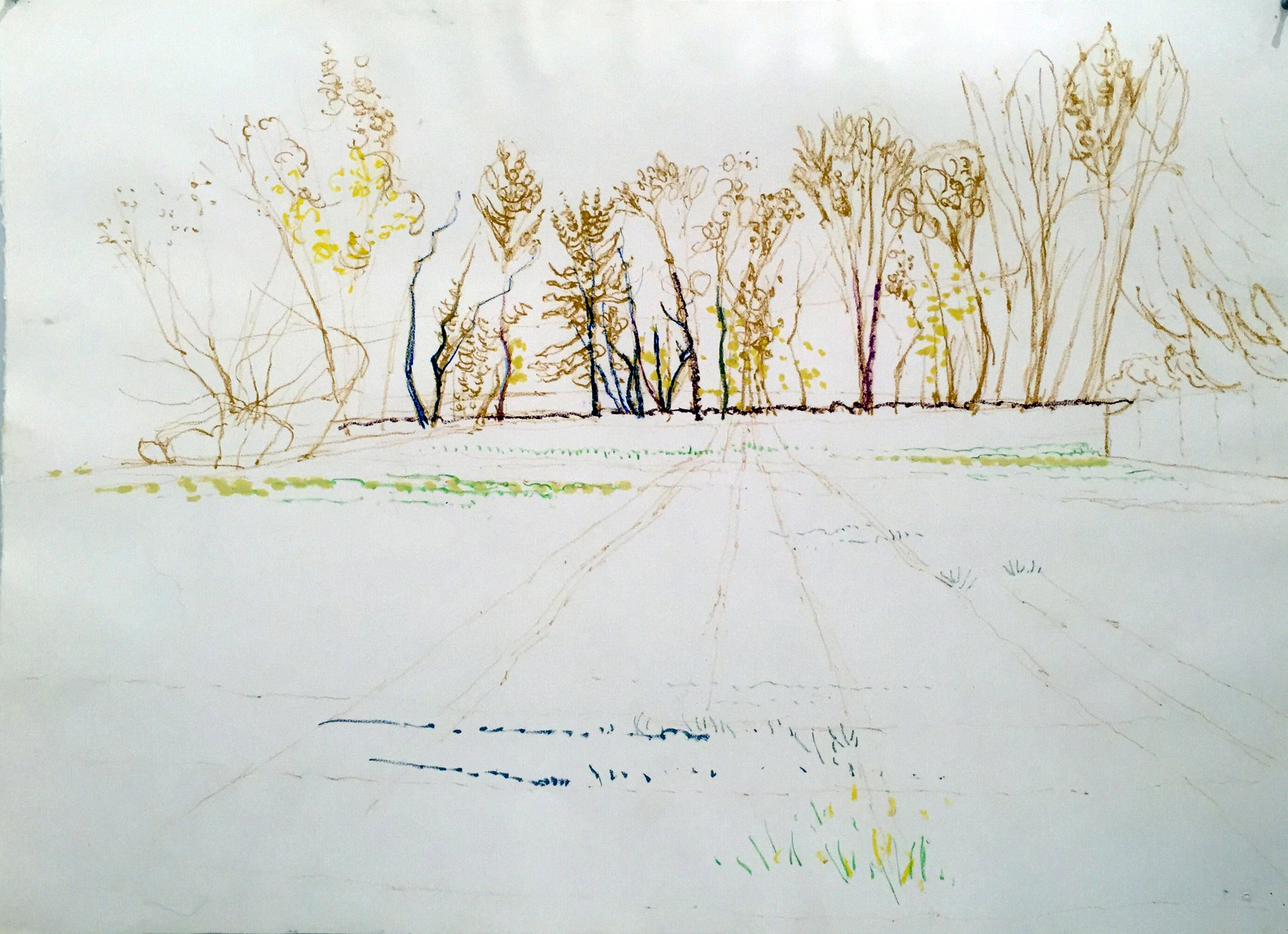 FIELD AND TREES ON COTTAGE STREET 29.5X41.5
