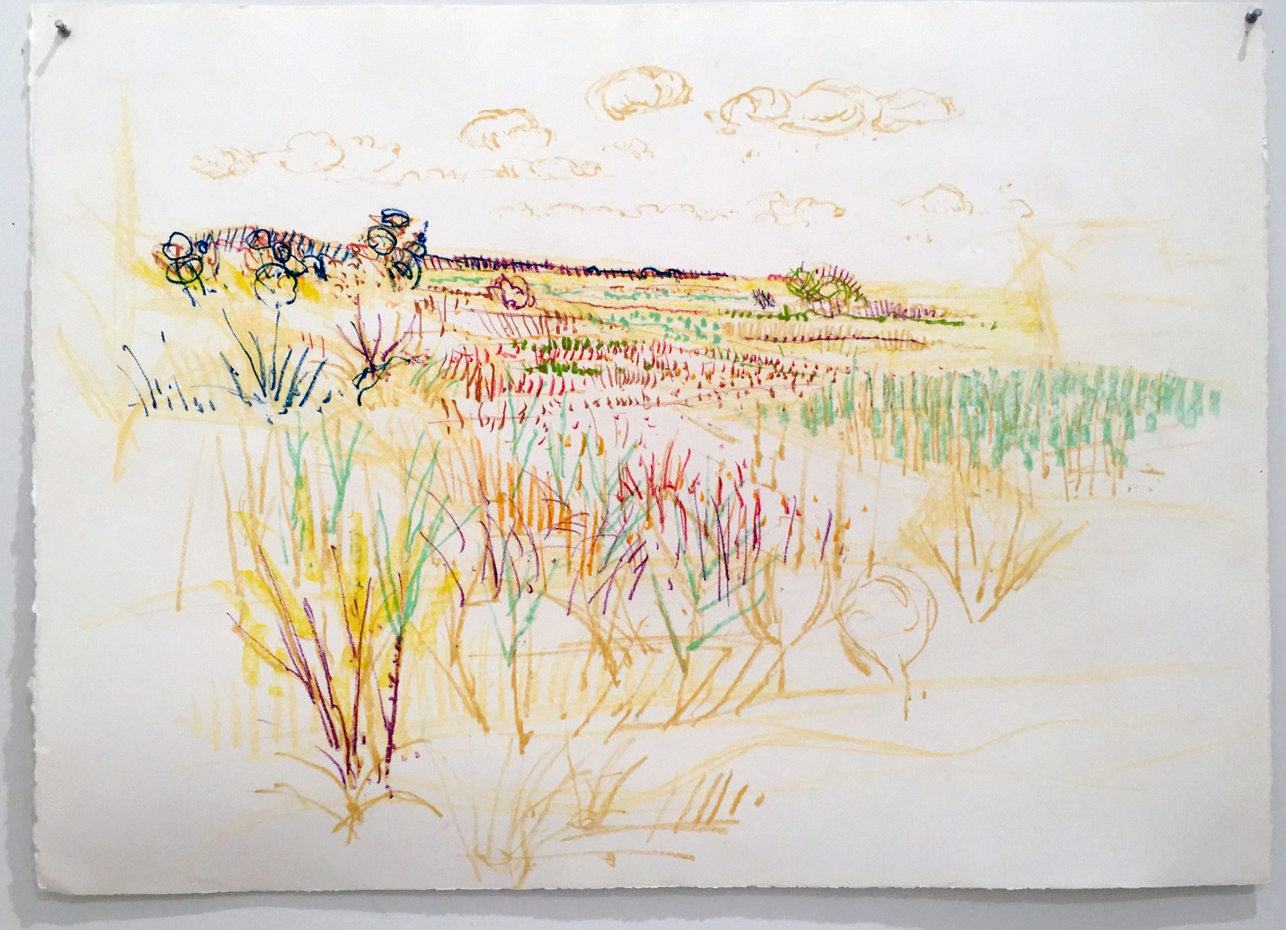 FIELD WITH GRASSES 29.5X41.5