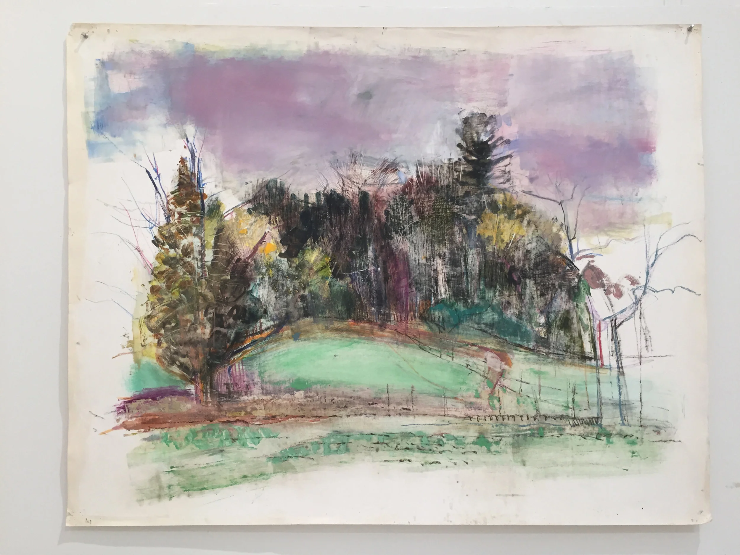 HUNNEWELL HILLSIDE IN SPRING