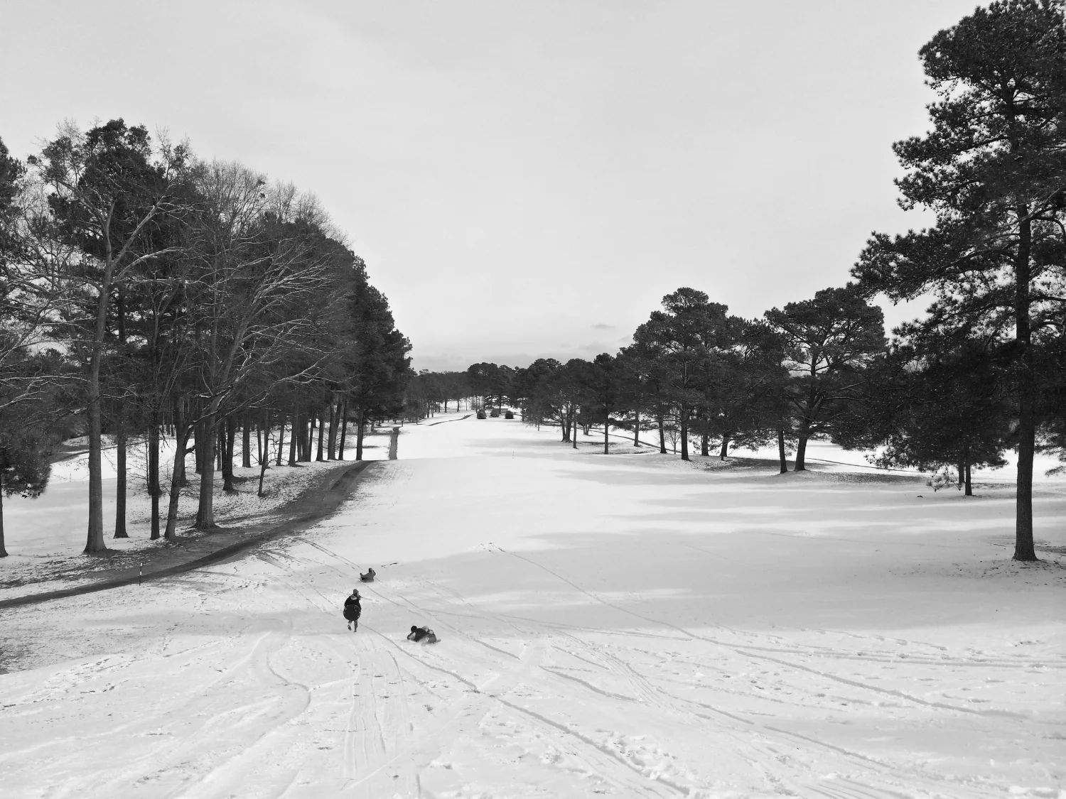 Sledding fairways at the Monroe Golf and Country Club