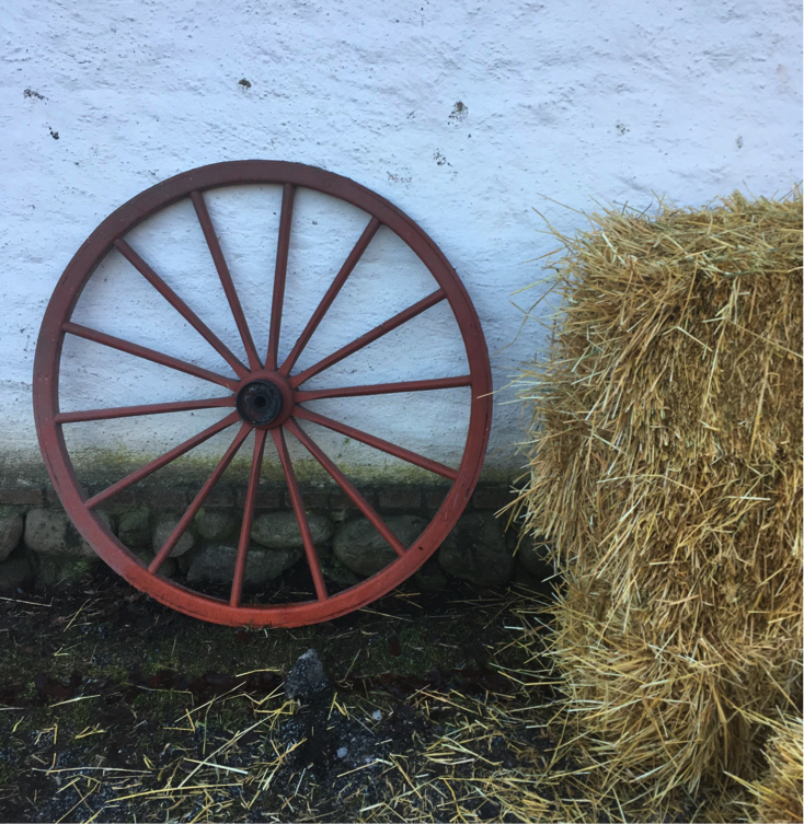 wheel.png