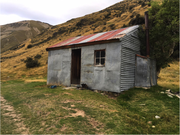 new-zealand7.png