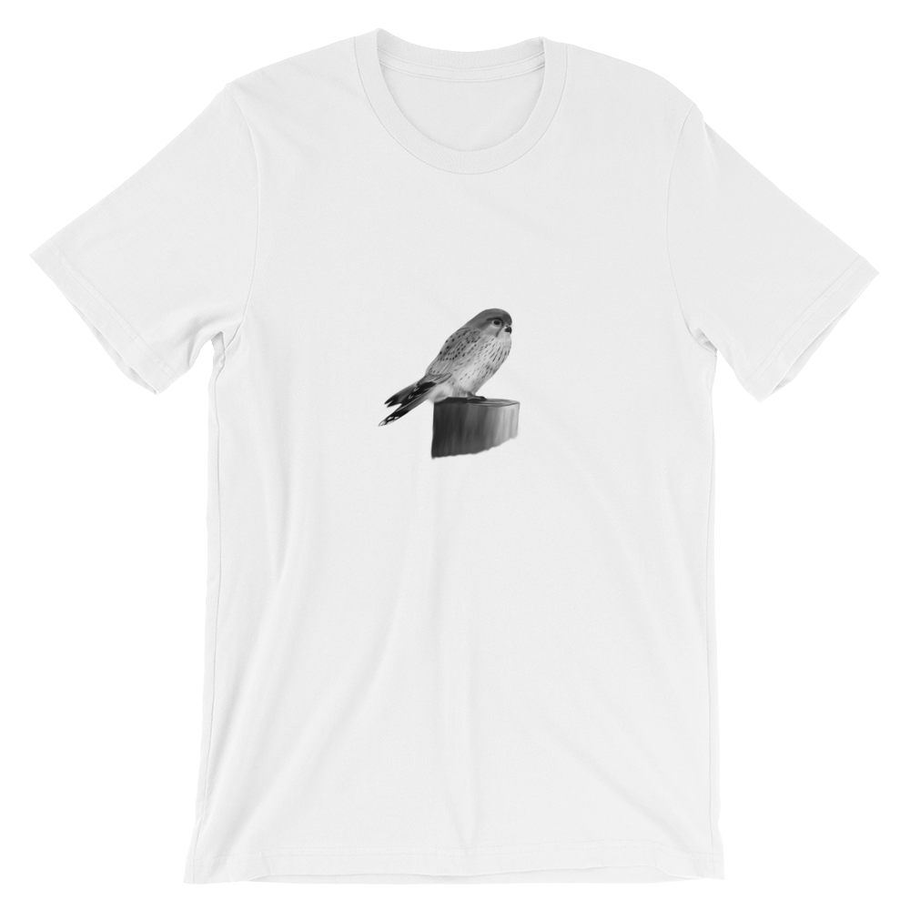 Kestrel_PhoneticPlanet_Logos_Final_Color-01_mockup_Front_Wrinkled_White.png