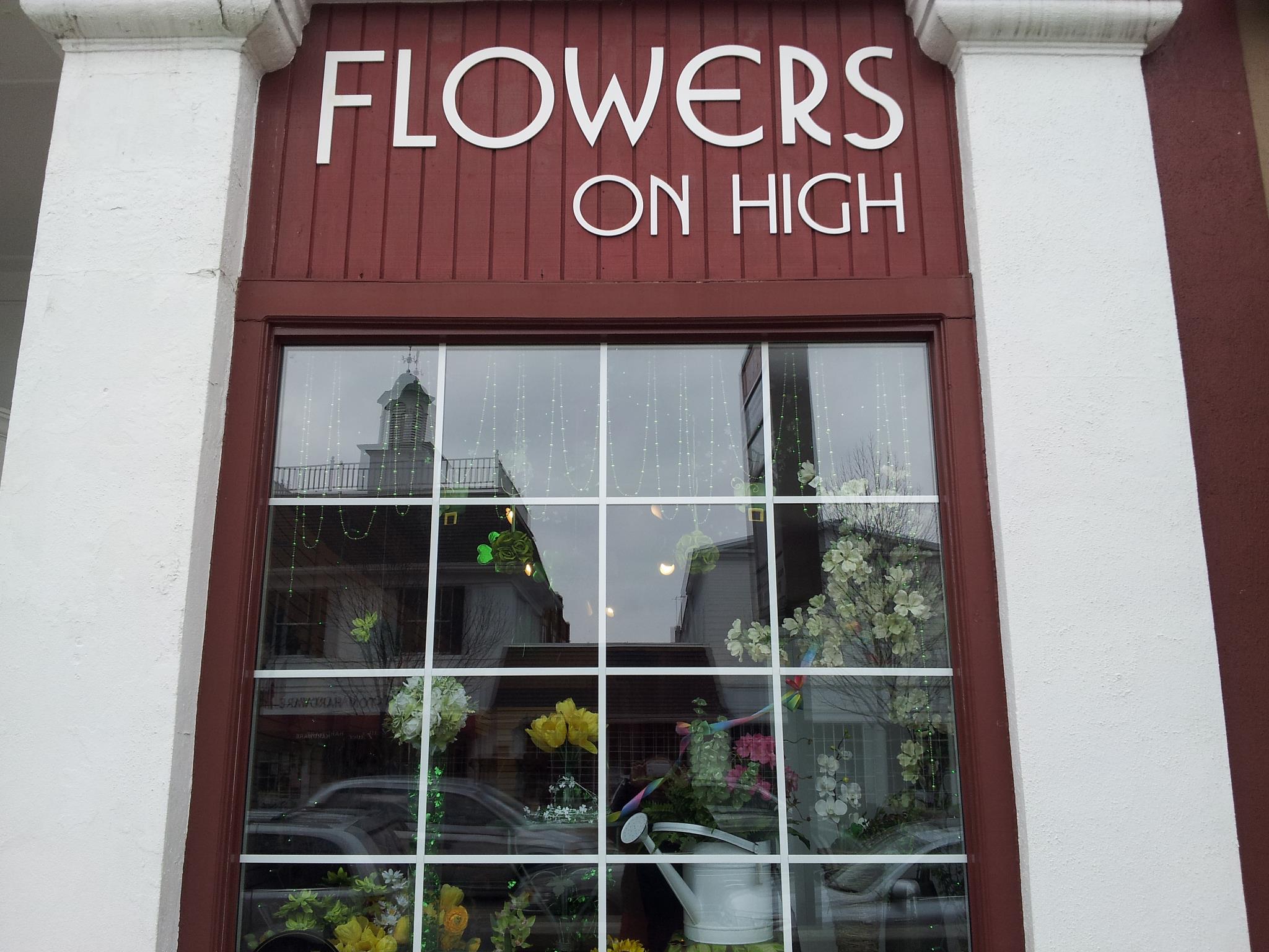 flowers-on-high-3.jpg