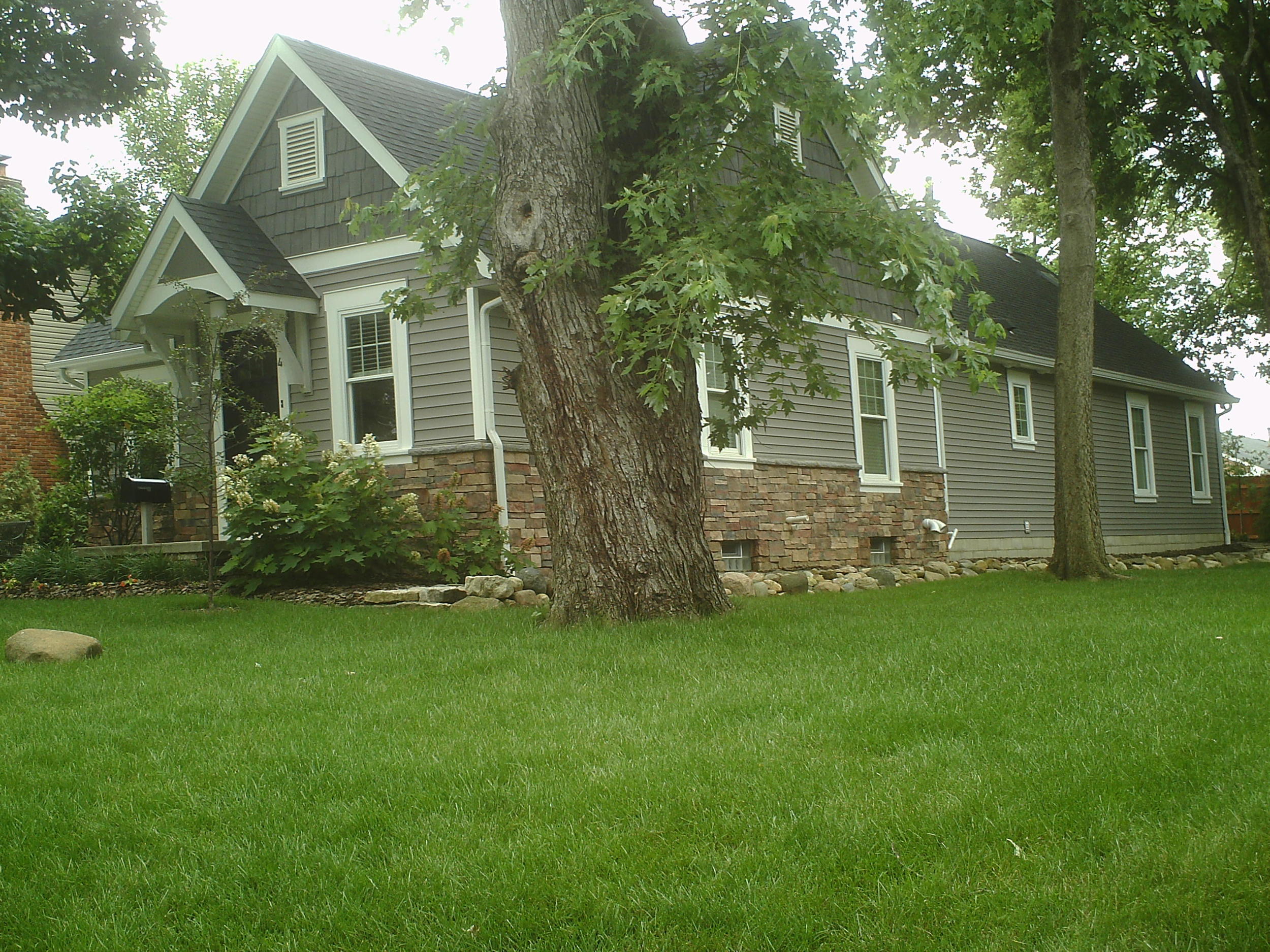 PICT0001.jpg