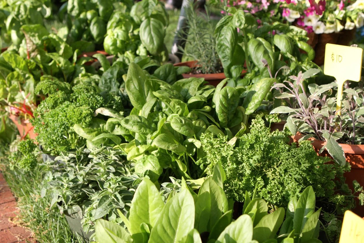 Worthington Farmers Market — Experience Worthington