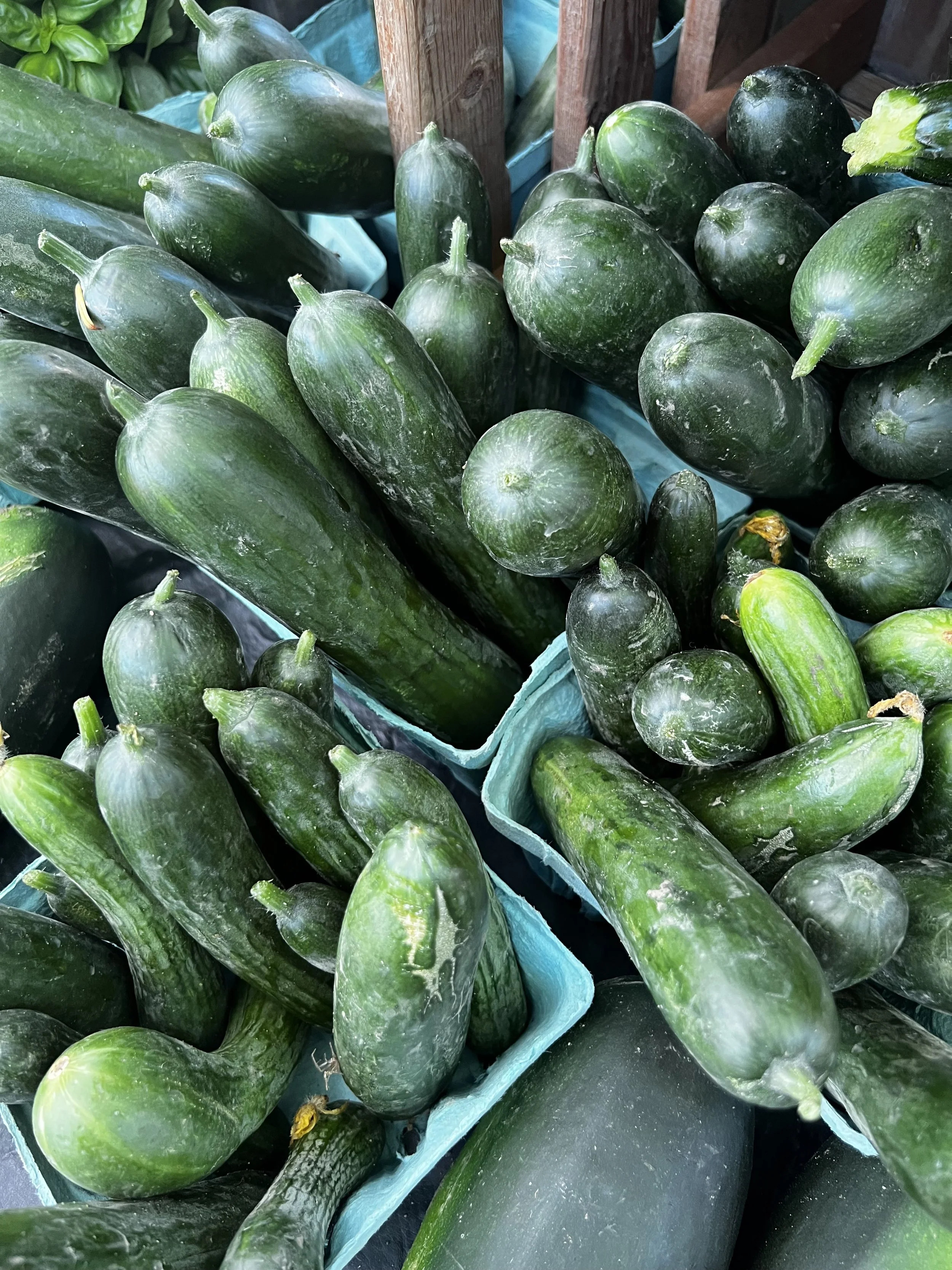 WFM Vendors — Experience Worthington