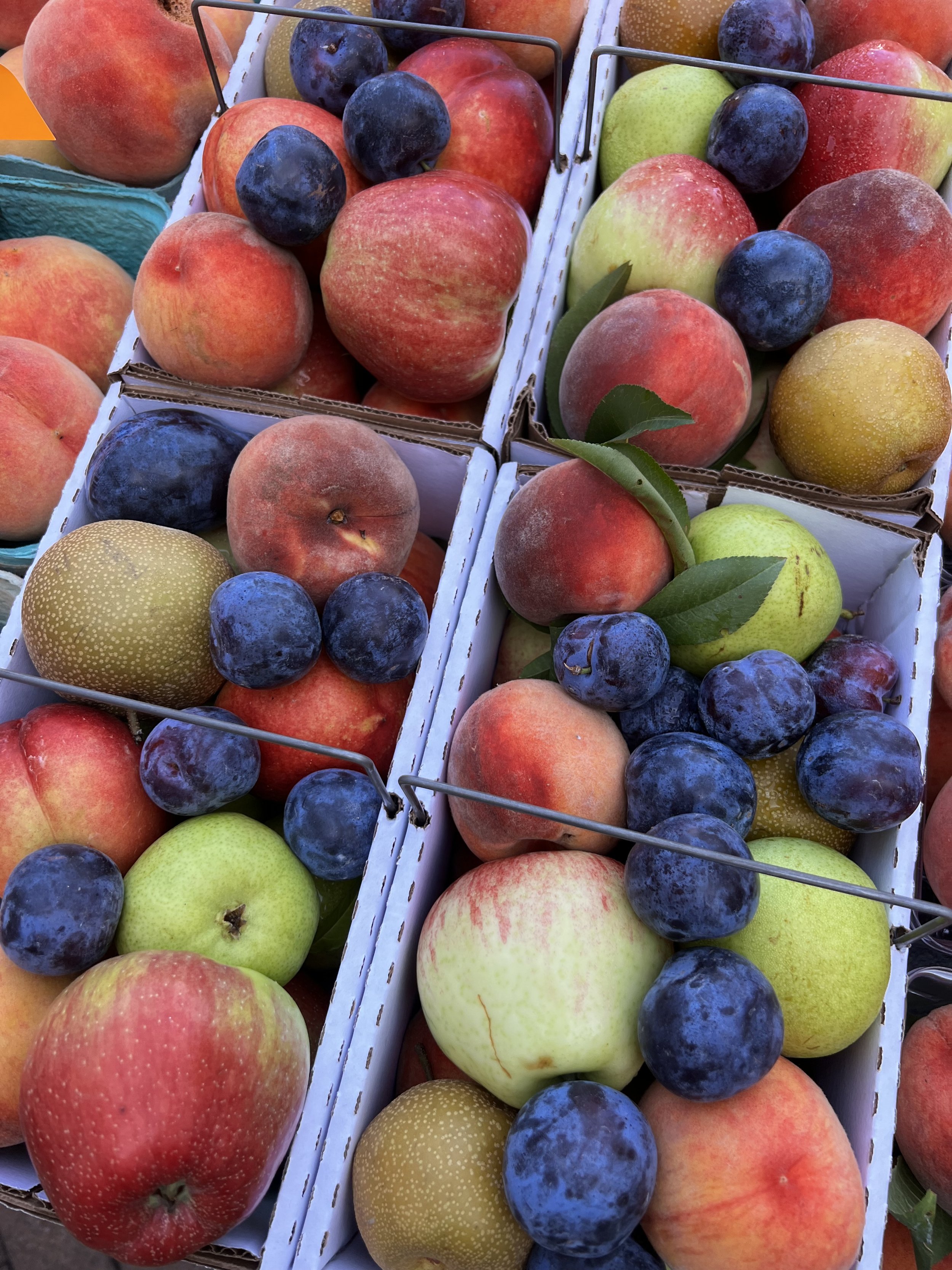 WFM Vendors — Experience Worthington