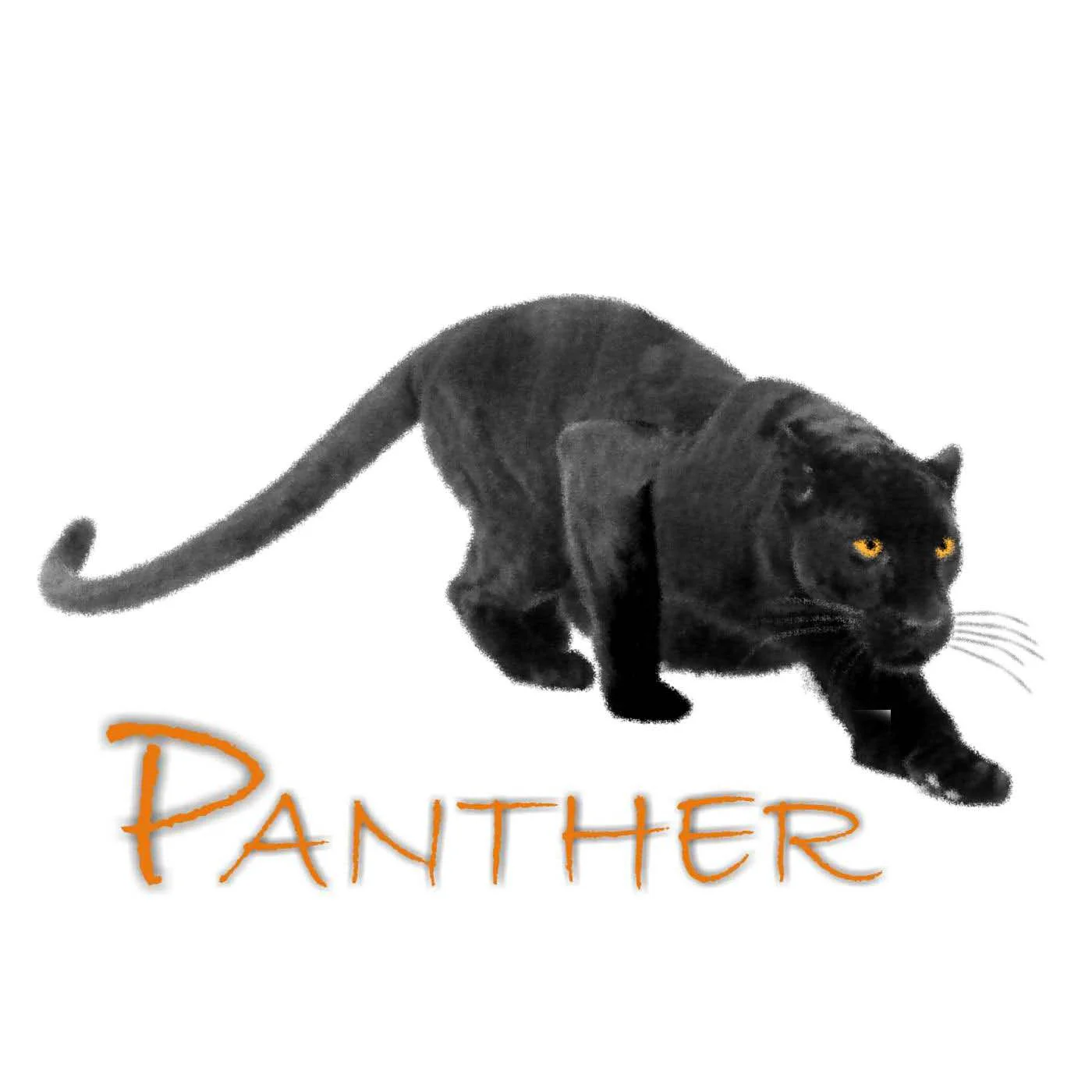 Panther