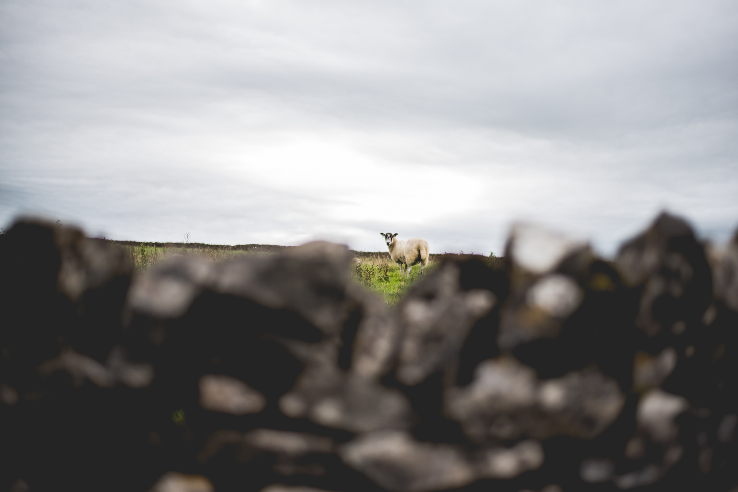Peak+district+farm+wedding+lower+damgate+photographer-2.jpg