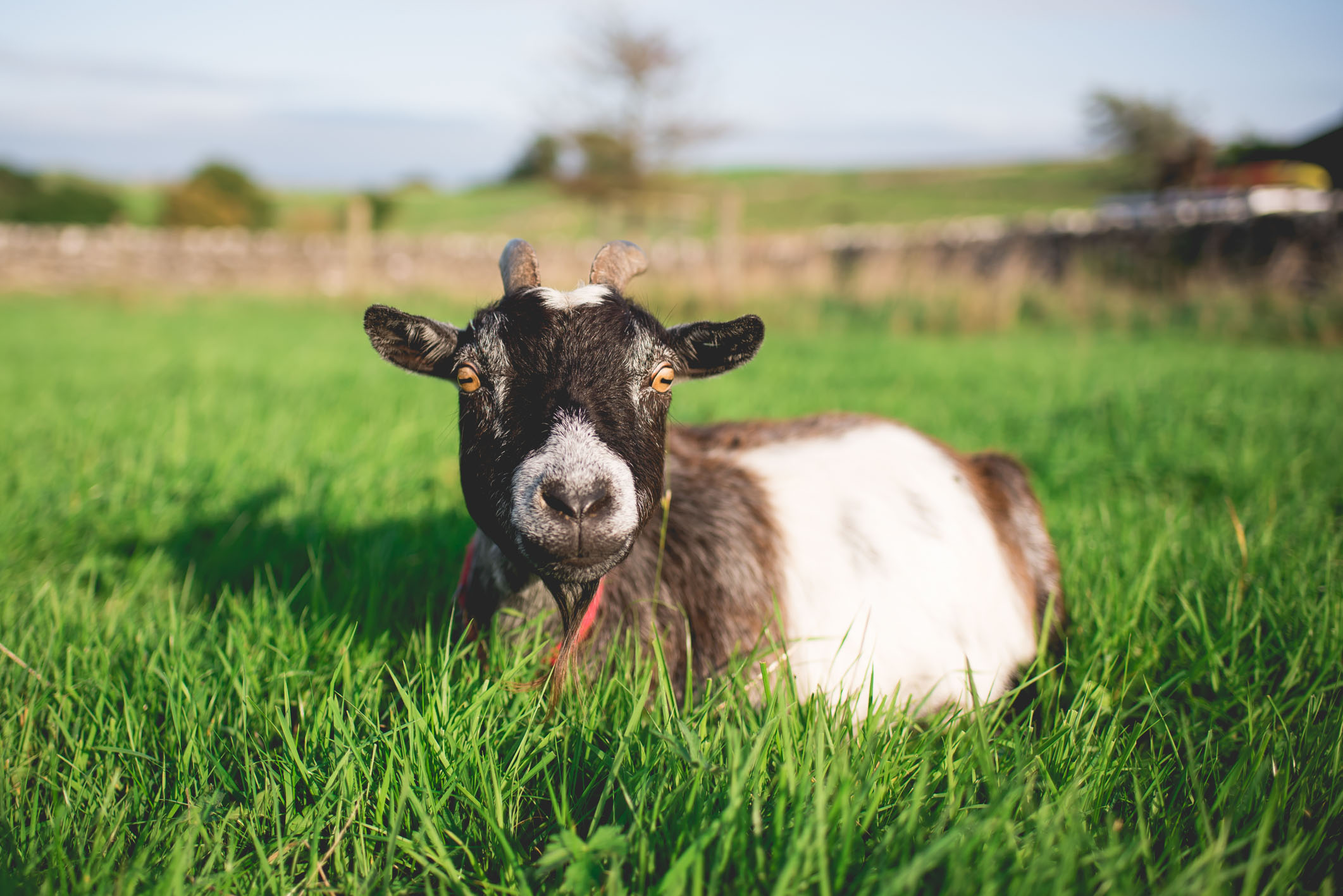 Peak+district+farm+wedding+lower+damgate+photographer-181.jpg