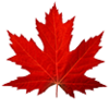 #GlobalHealthcare+A+Canadian+Medical+Travel+Company.png