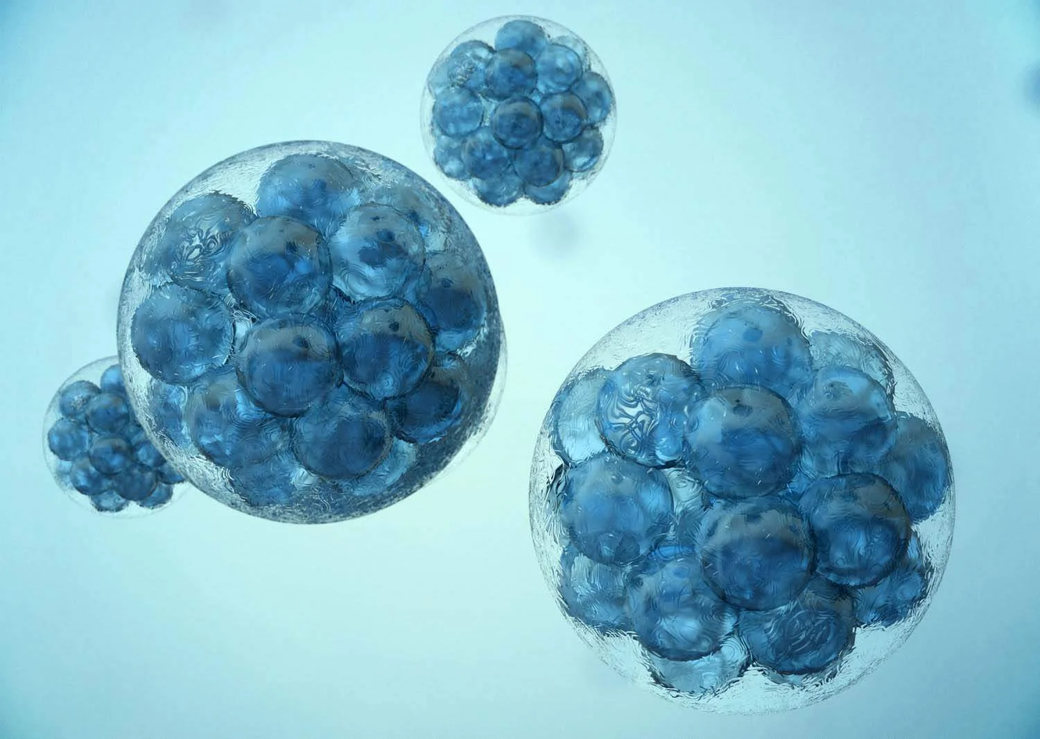 Stem Cell and Regenerative Medicine (Copy)
