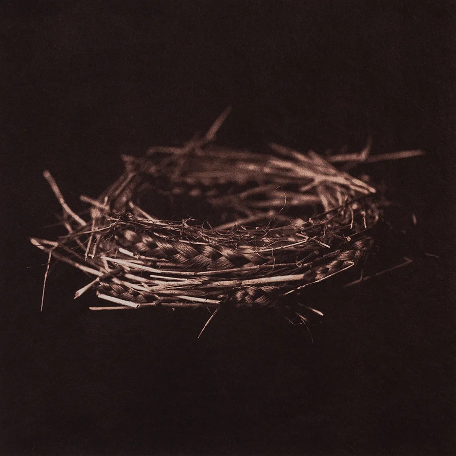 Untitled 12, 2016, 10"x10", Gold toned Vandyke Brown print on kozo