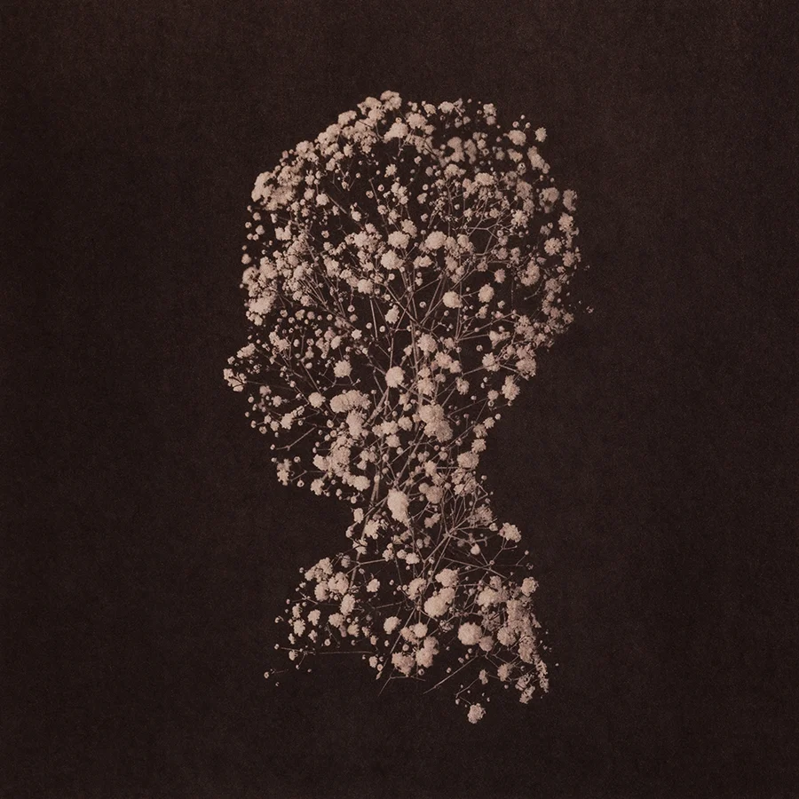 Untitled 1, 2015, 10"x10", Gold toned Vandyke Brown print on kozo
