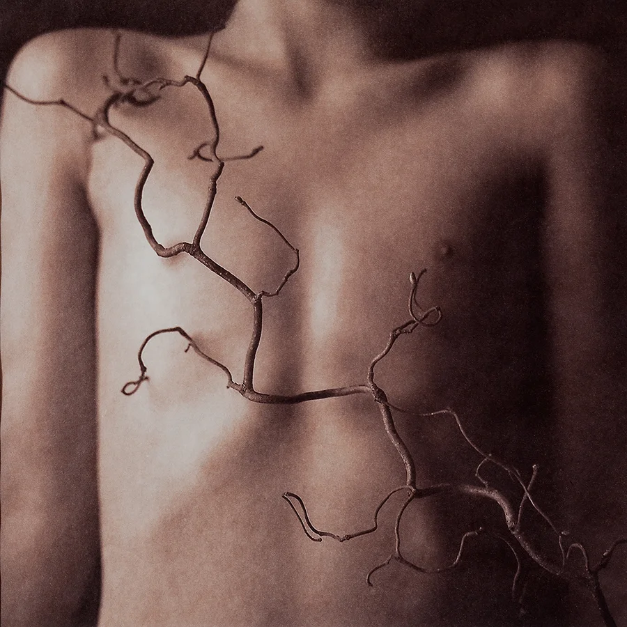 Untitled 6, 2014, 10"x10", Gold toned Vandyke Brown print on kozo