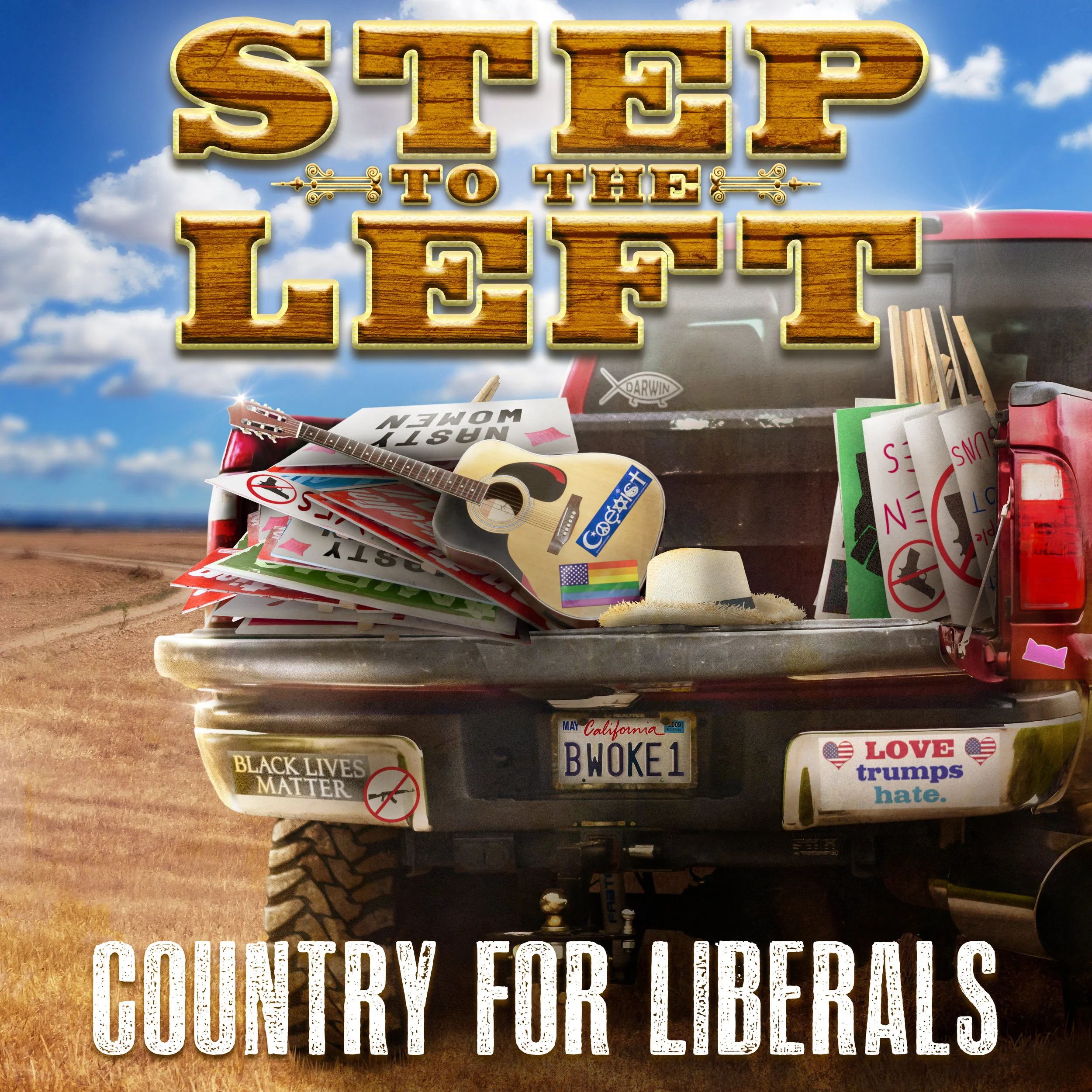 Step to the Left: Country for Liberals (Digital Download)
