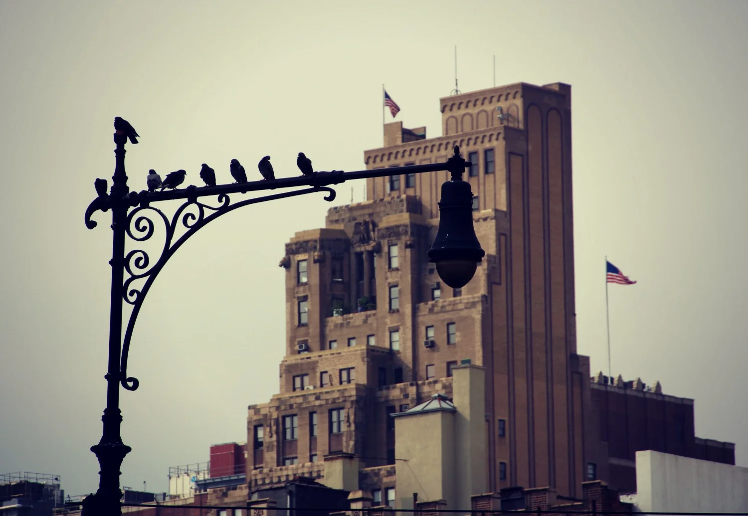 Wandering.