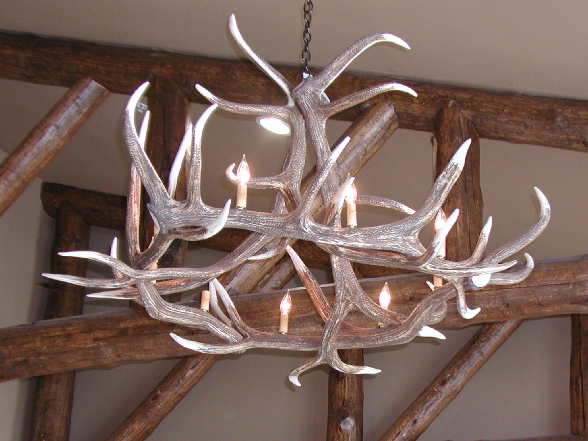 Discovery Park Lodge - Antler Chandalier.JPG