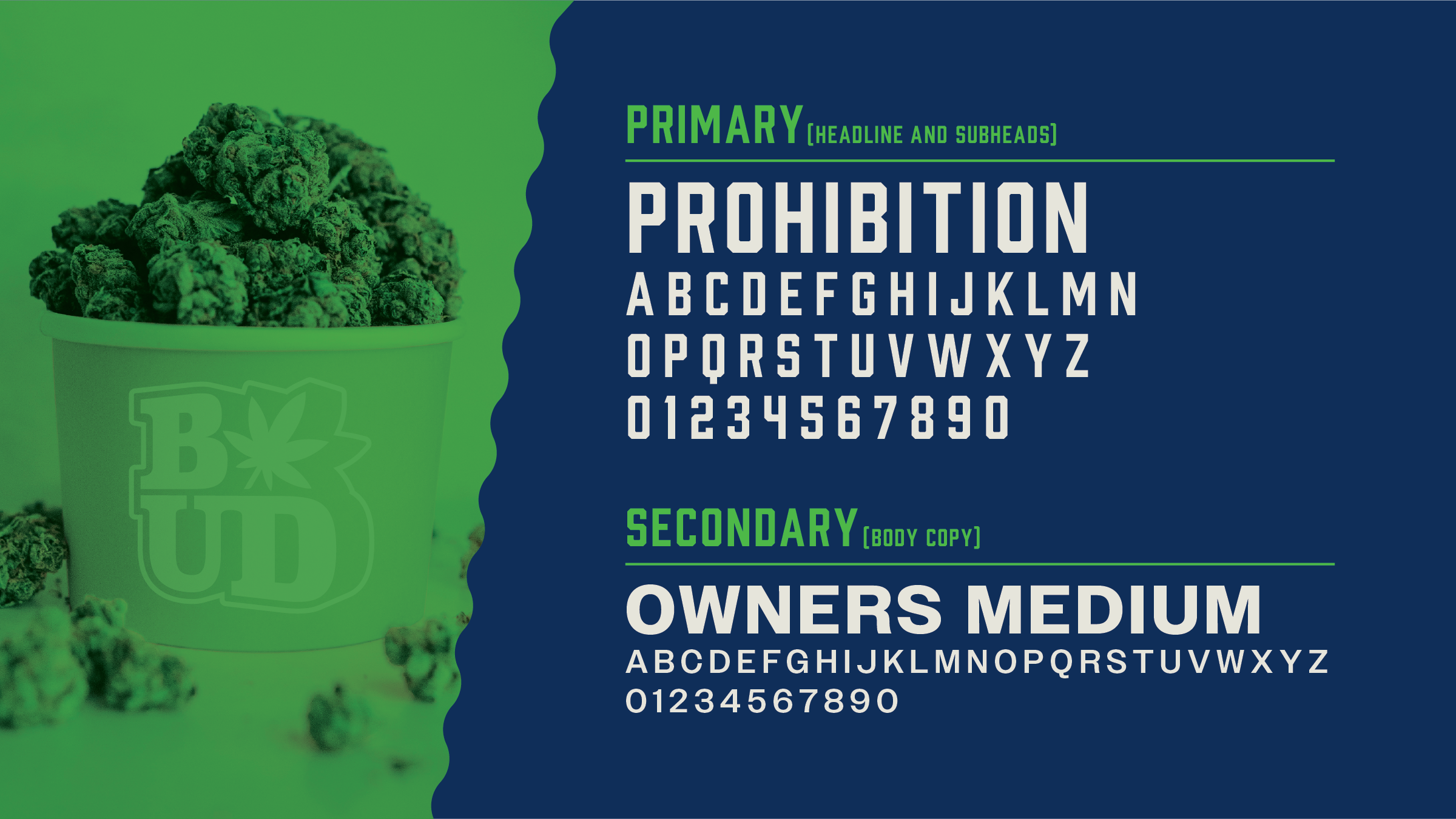 BB_website_spreads-06.png