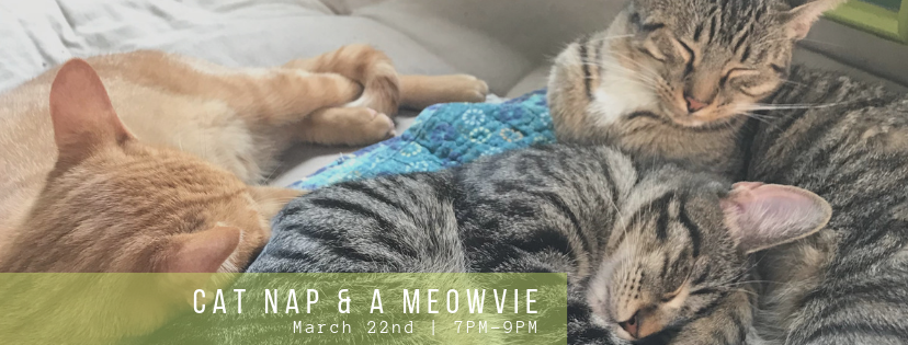 Cat Nap and a Meowvie.png
