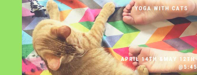 Yoga with Cats April and May.png