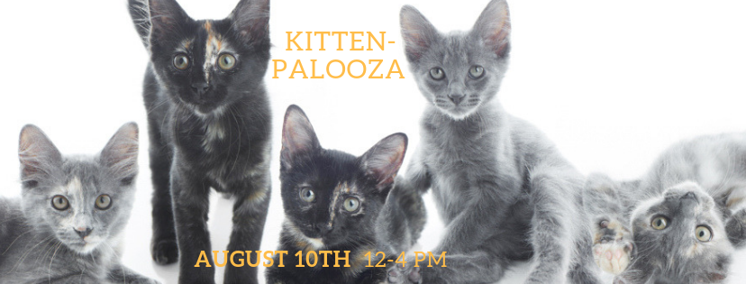 kittenpalooza.png