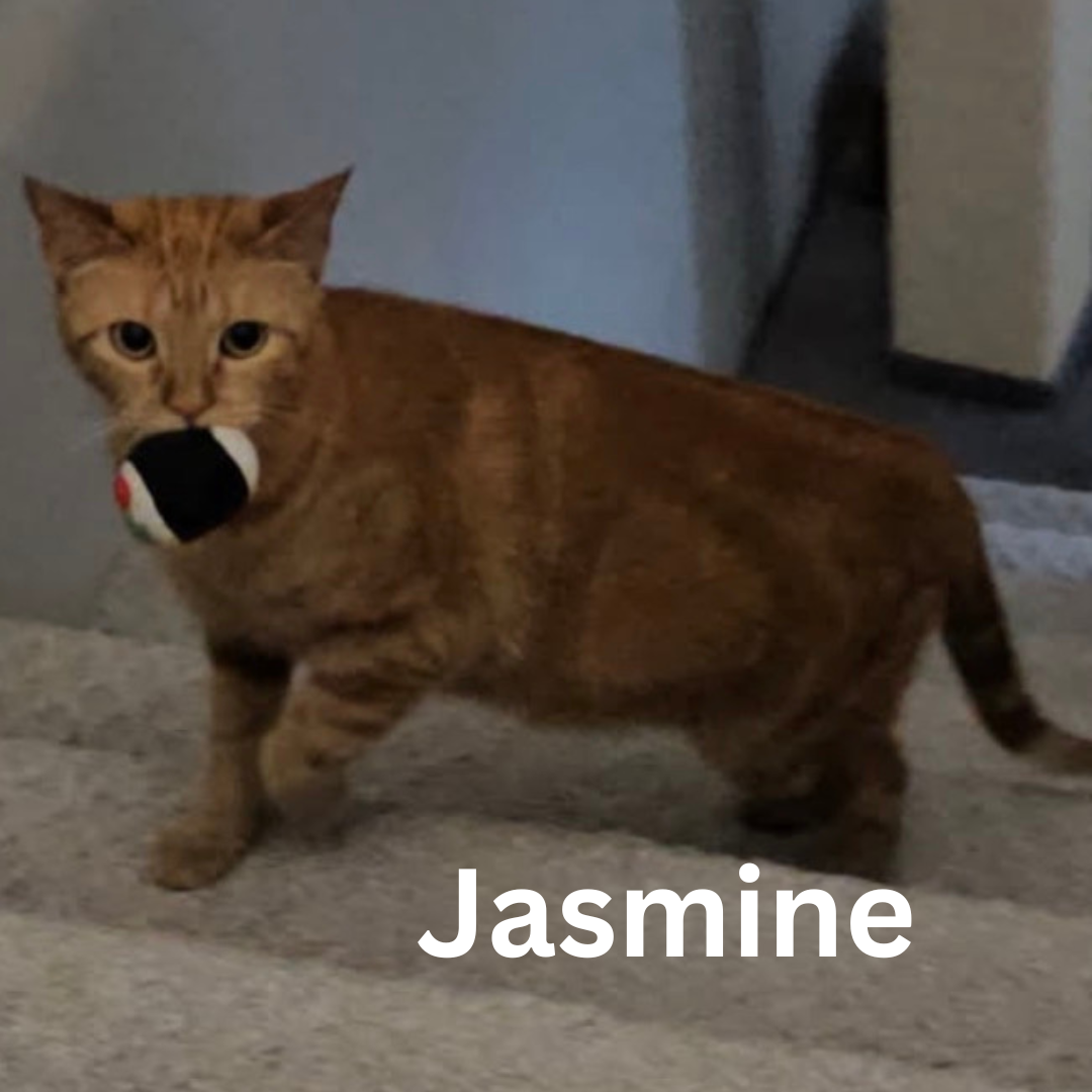 name pic.png