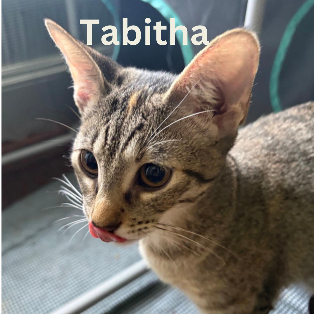 name pic.png