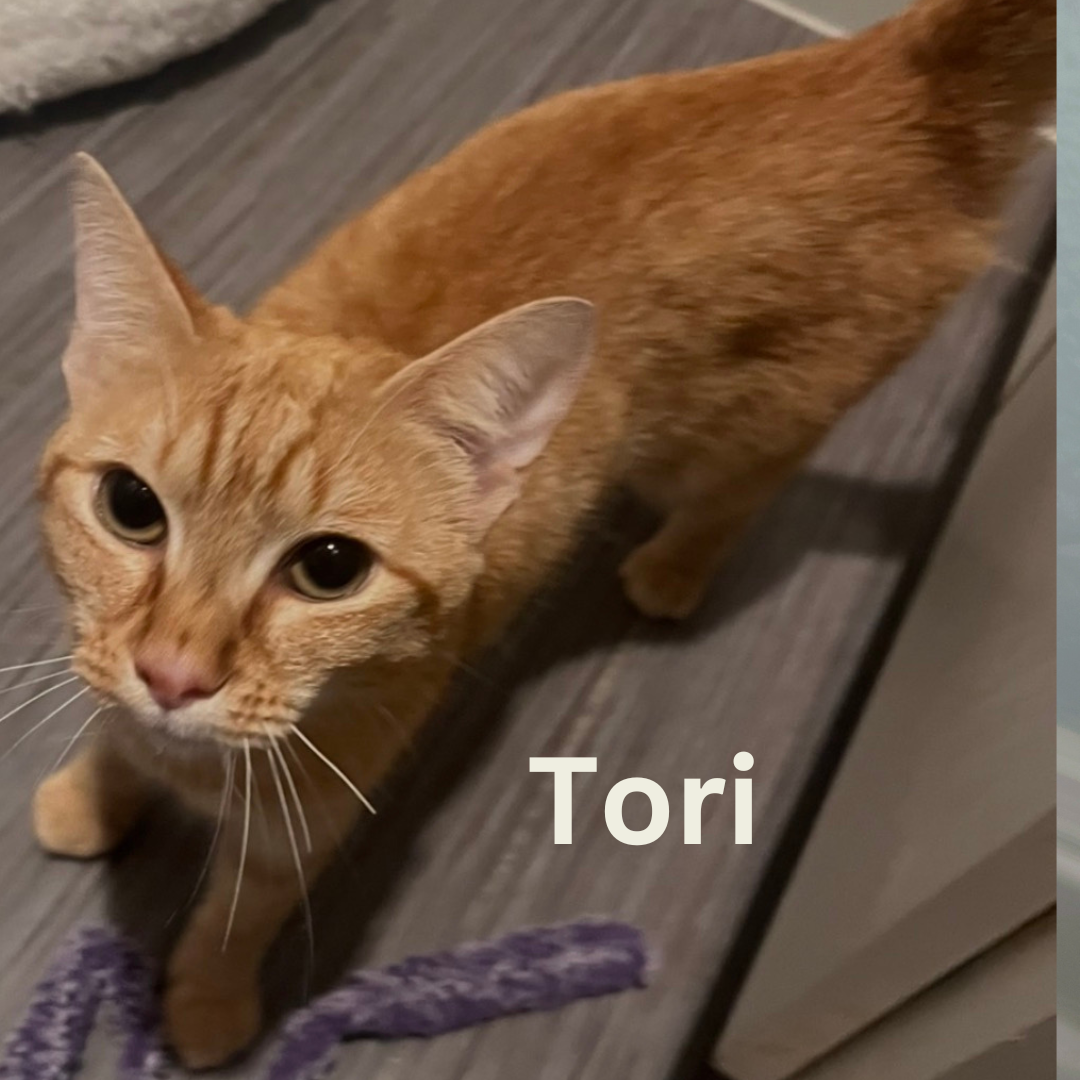name pic.png