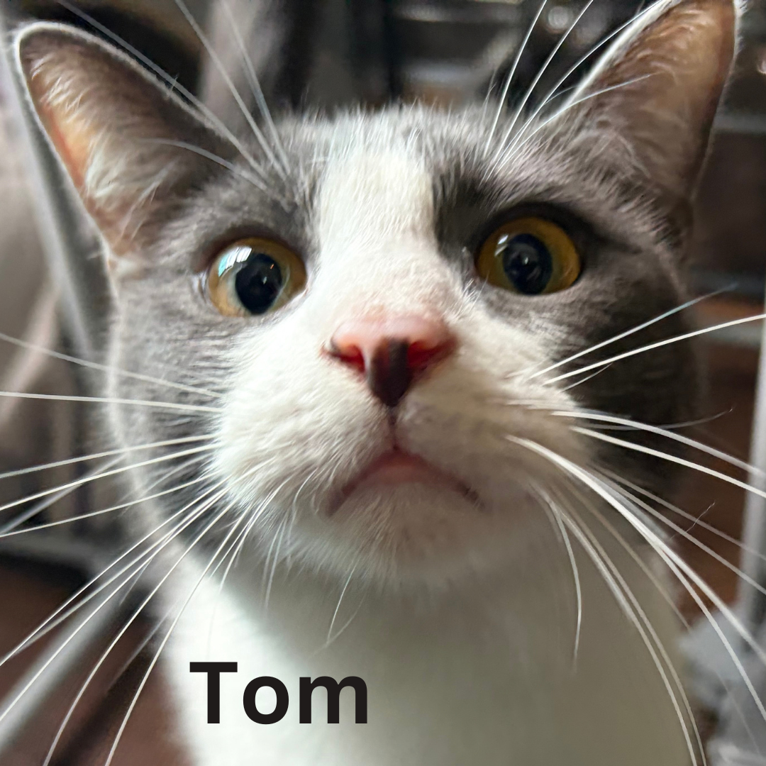 name pic.png