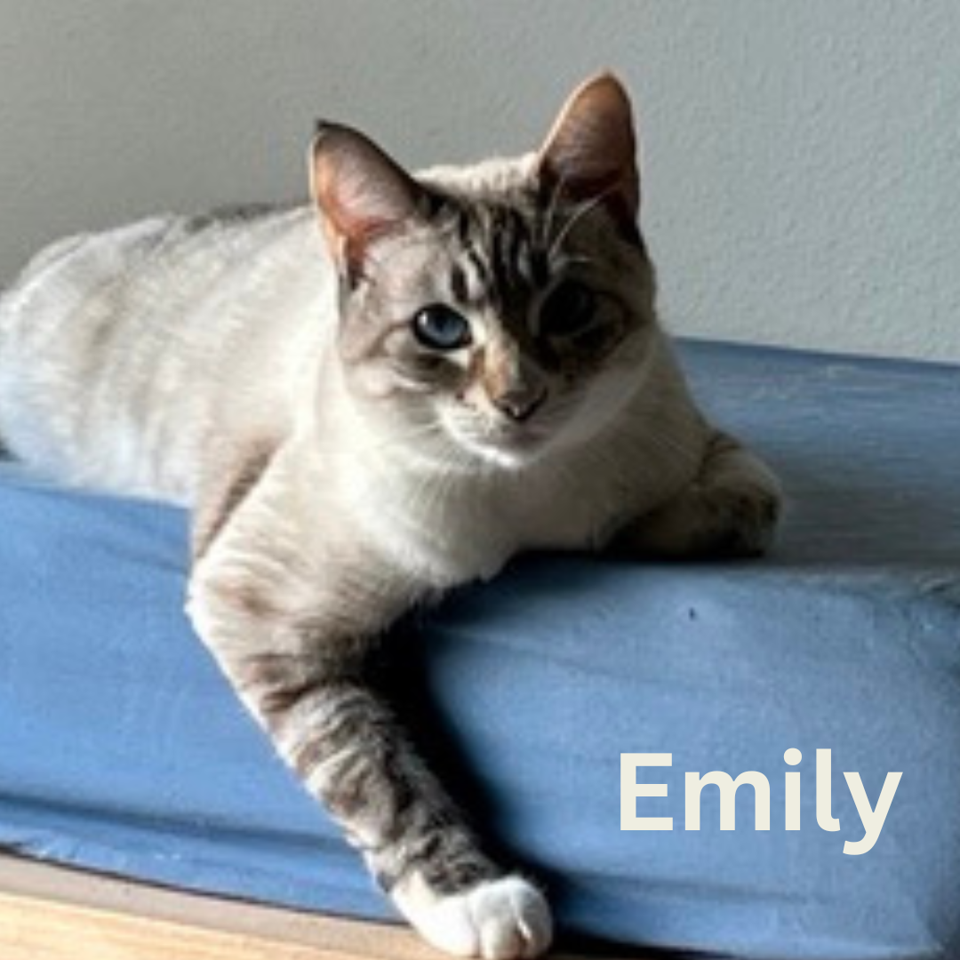 name pic.png