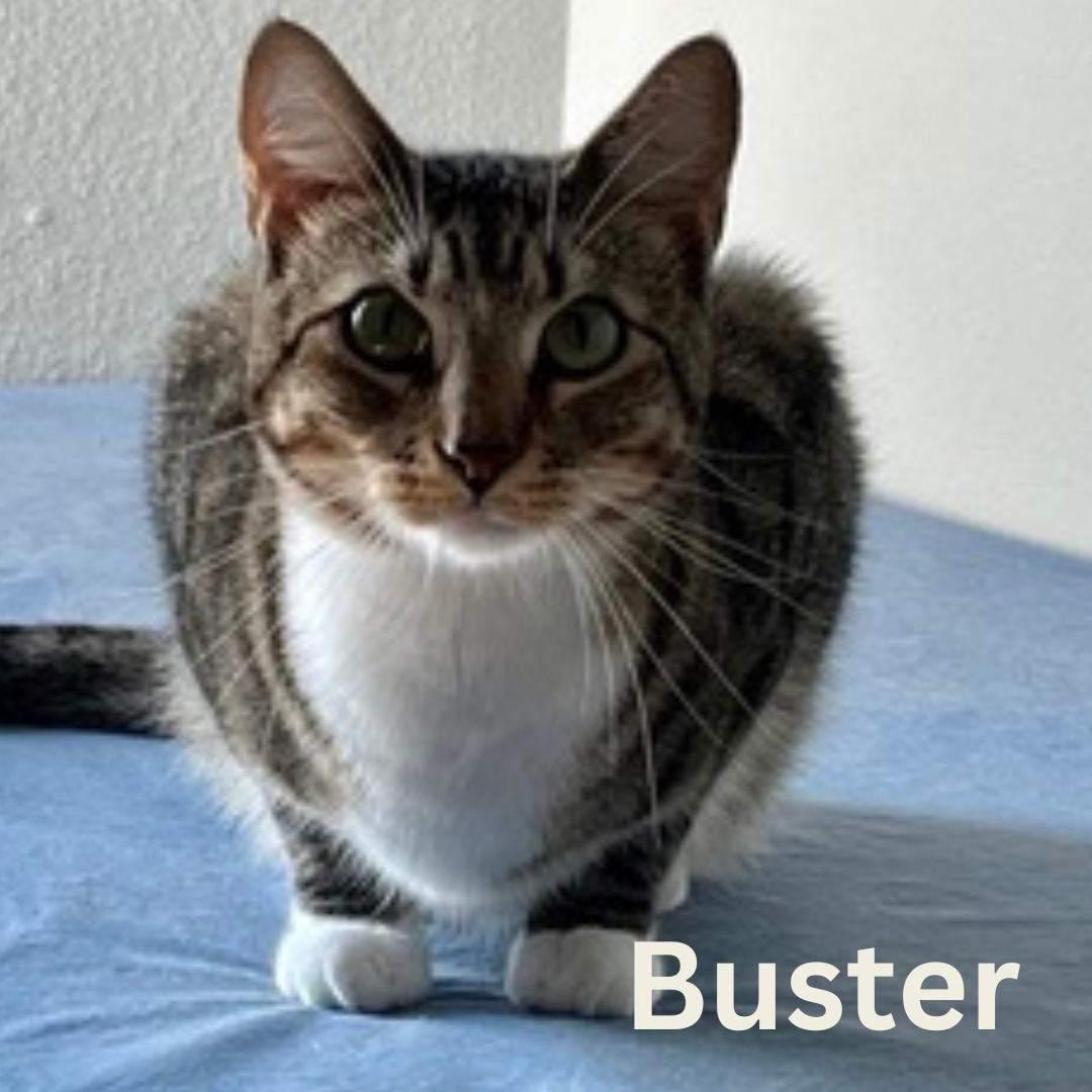 name pic.png