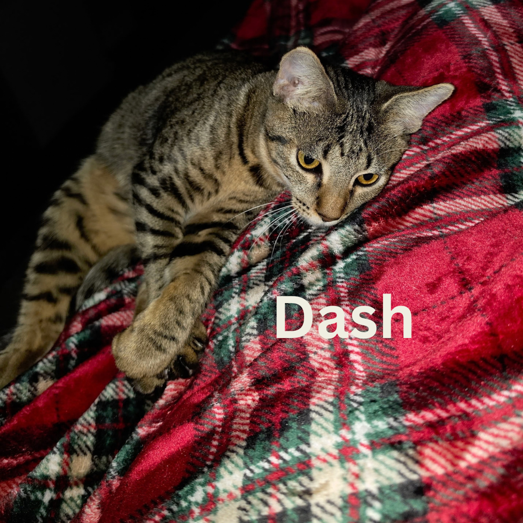 name pic.png