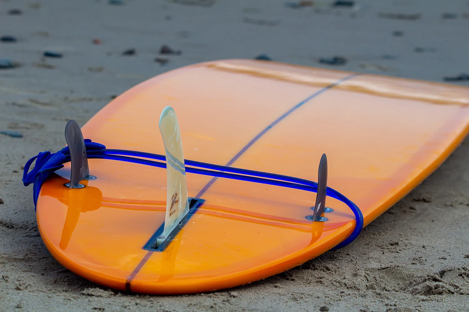 On the beach July 2019-0944.jpeg