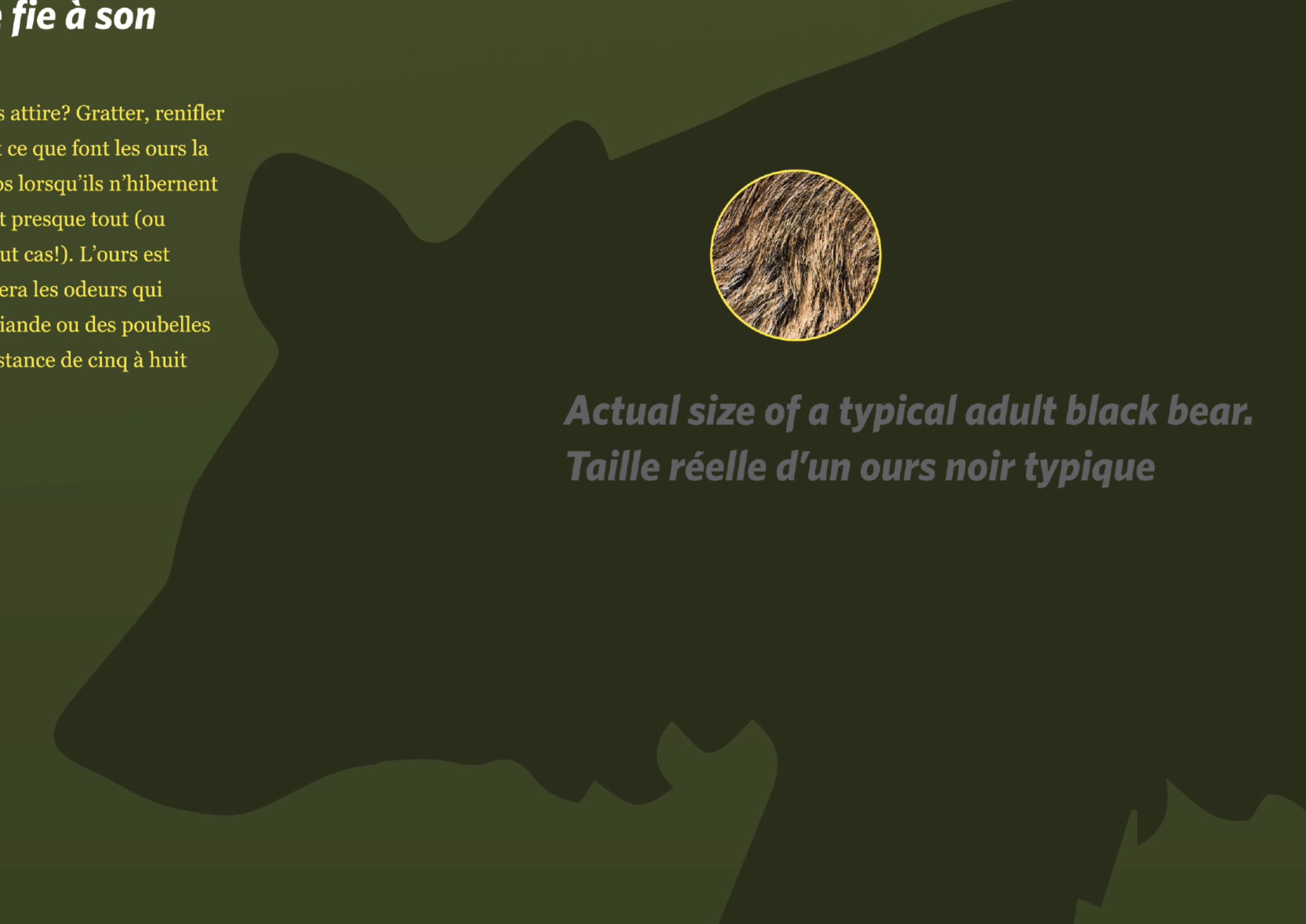 Screen Shot 2020-11-26 at 2.26.51 PM.png