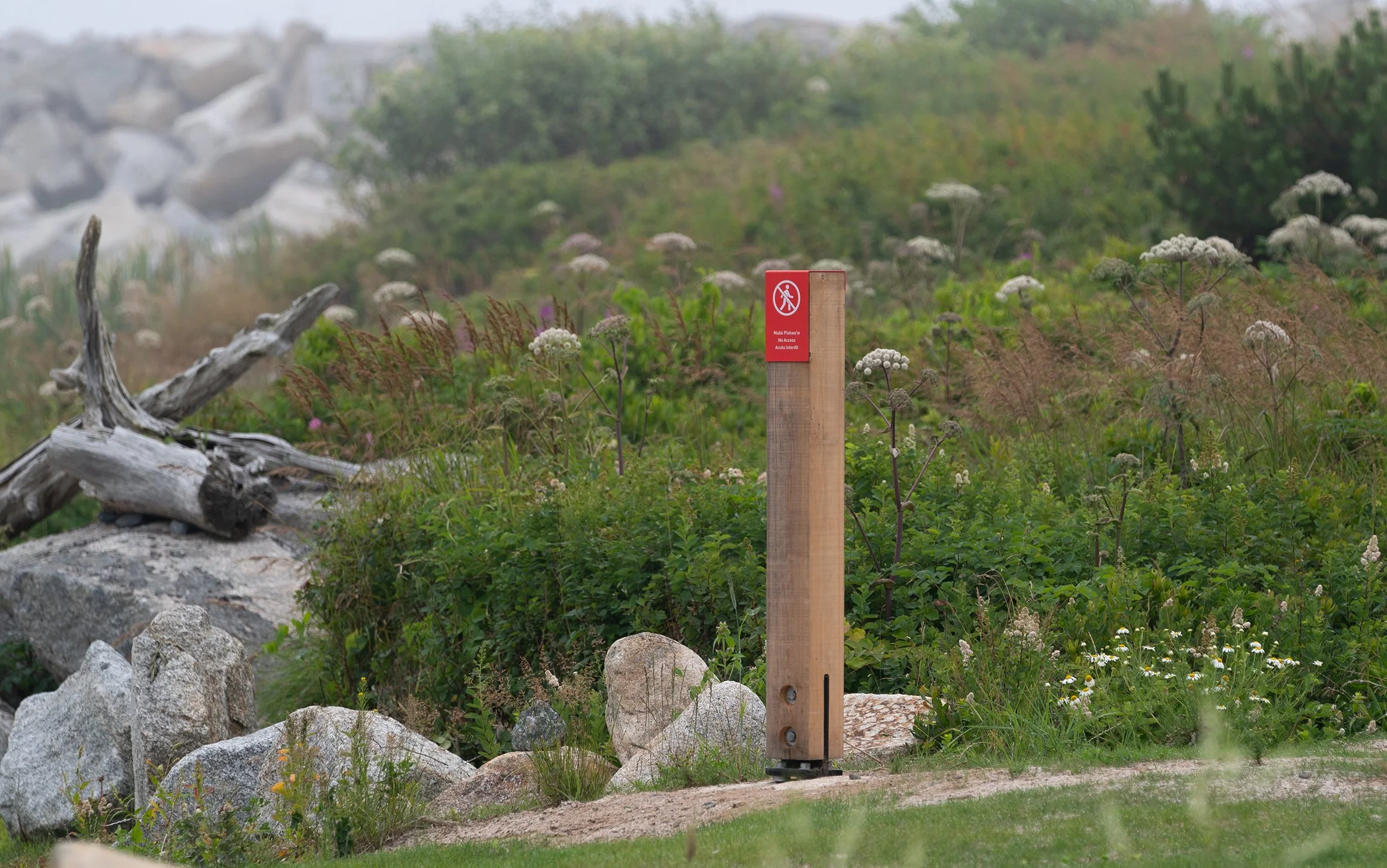 Peggys Cove 2022-09026.jpg