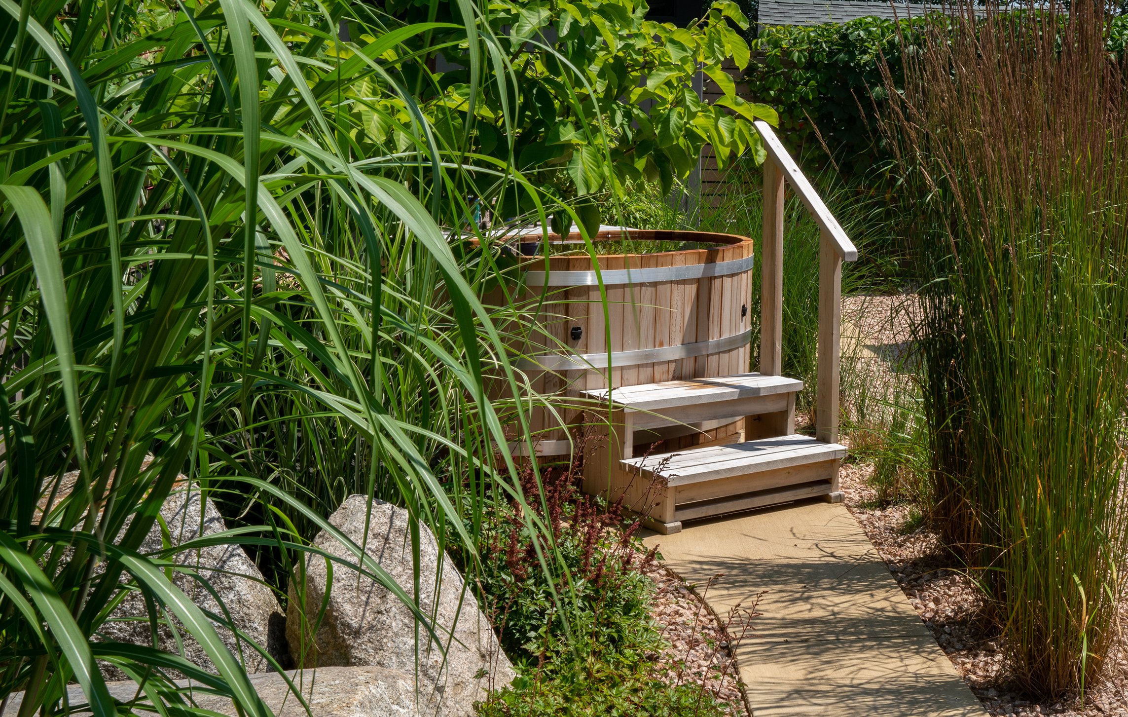 Backyard 2022-08656.JPG