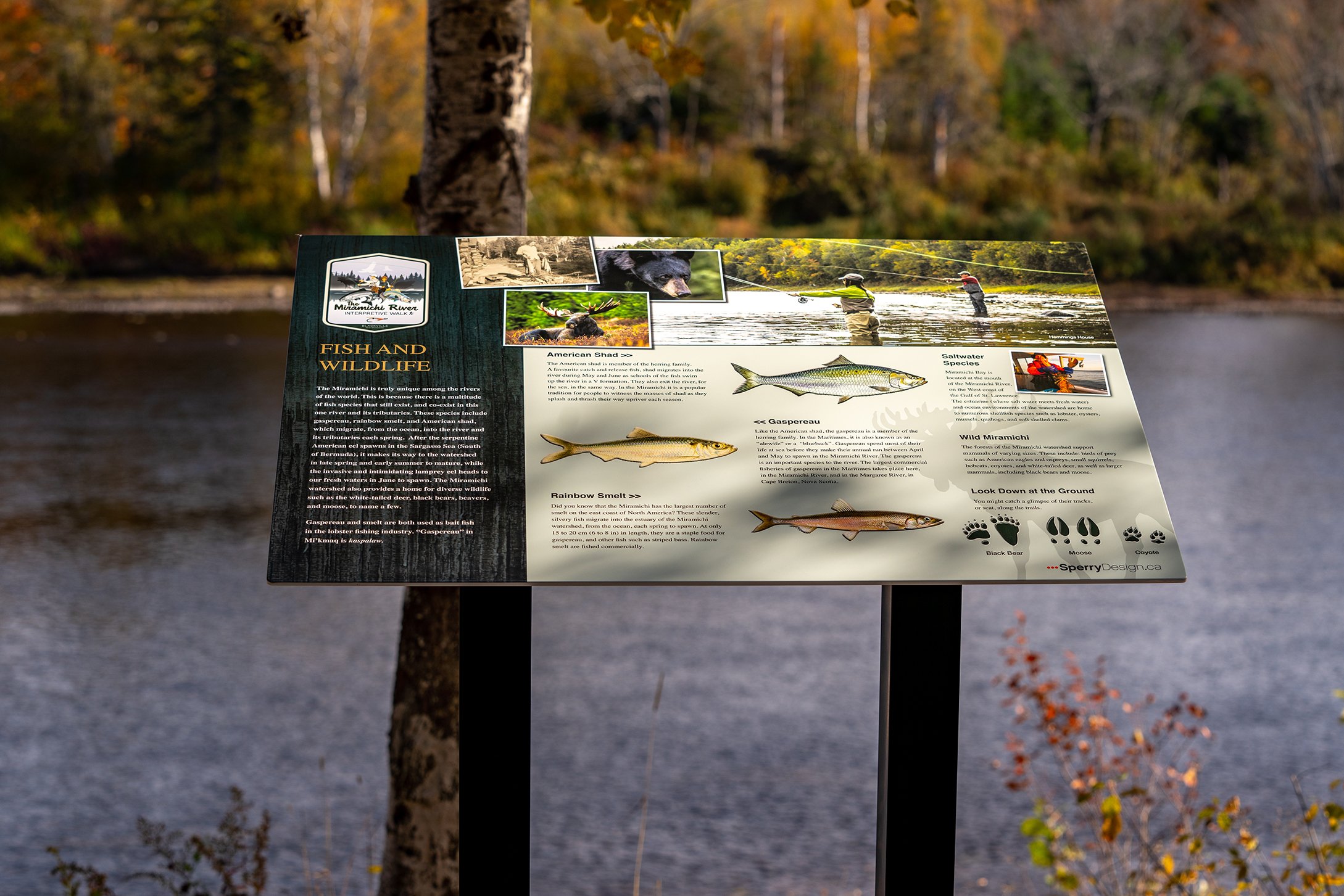Blackville Oct 2022-01469.jpg