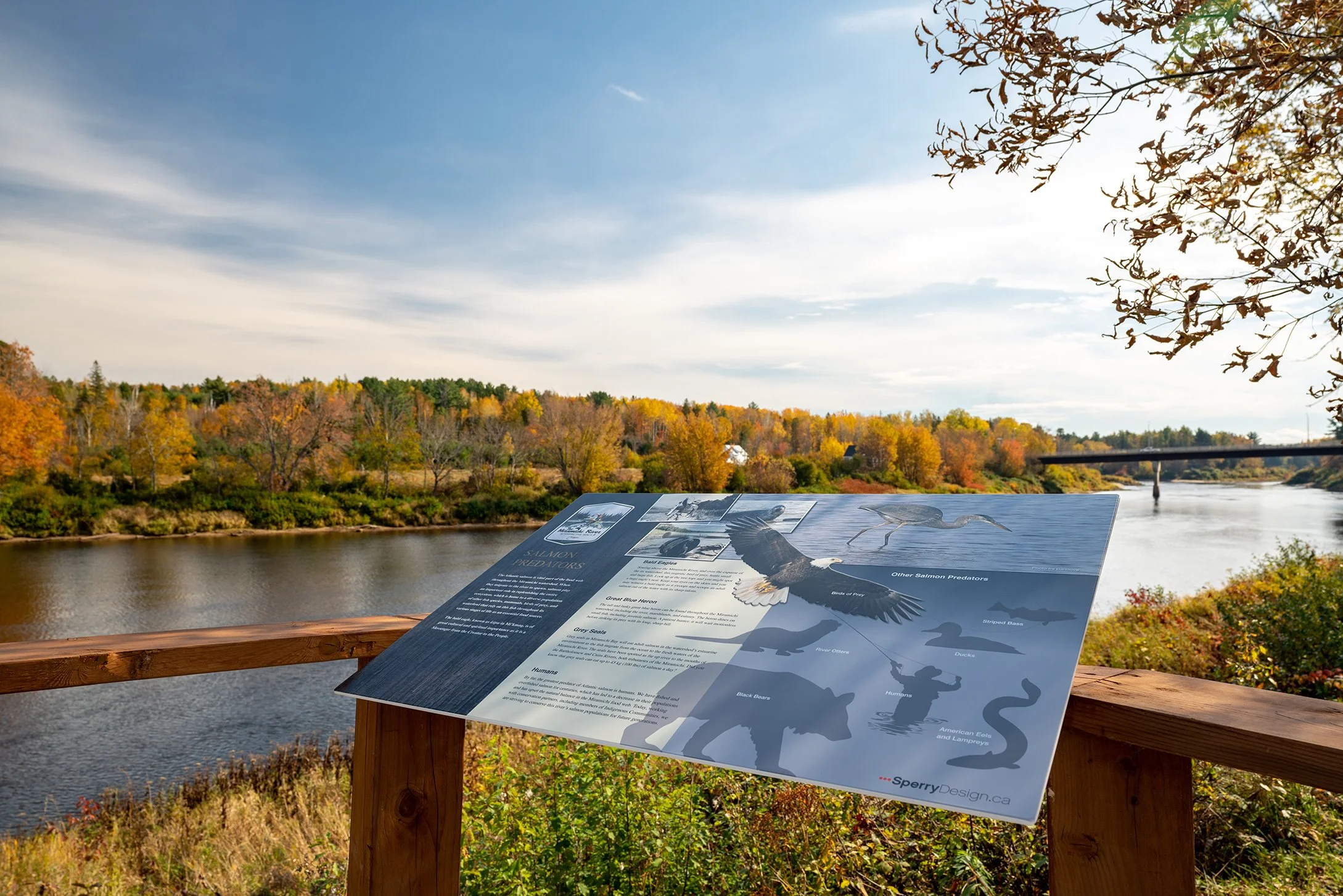 Blackville Oct 2022-01517.jpg