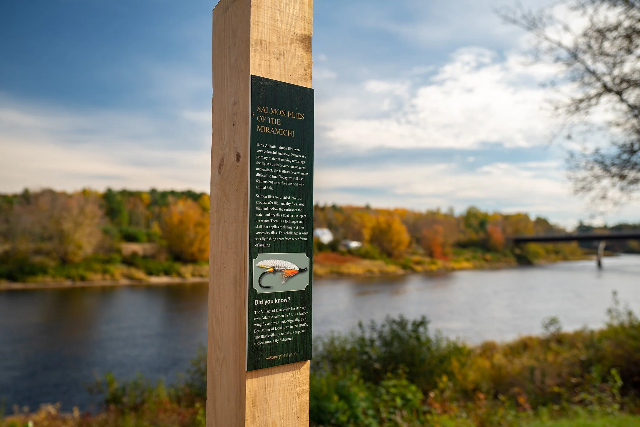 Blackville Oct 2022-01571.jpg