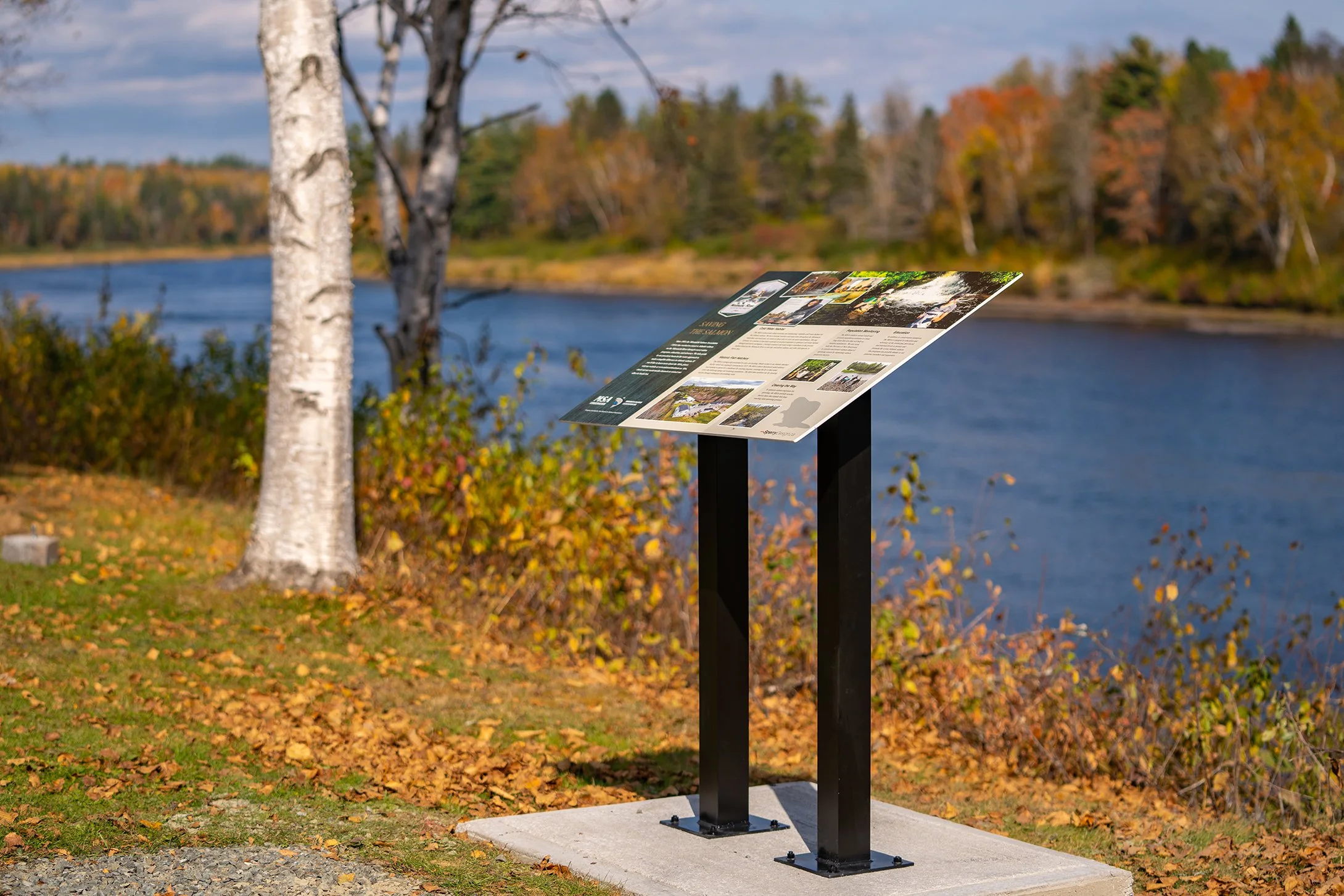 Blackville Oct 2022-01600.jpg