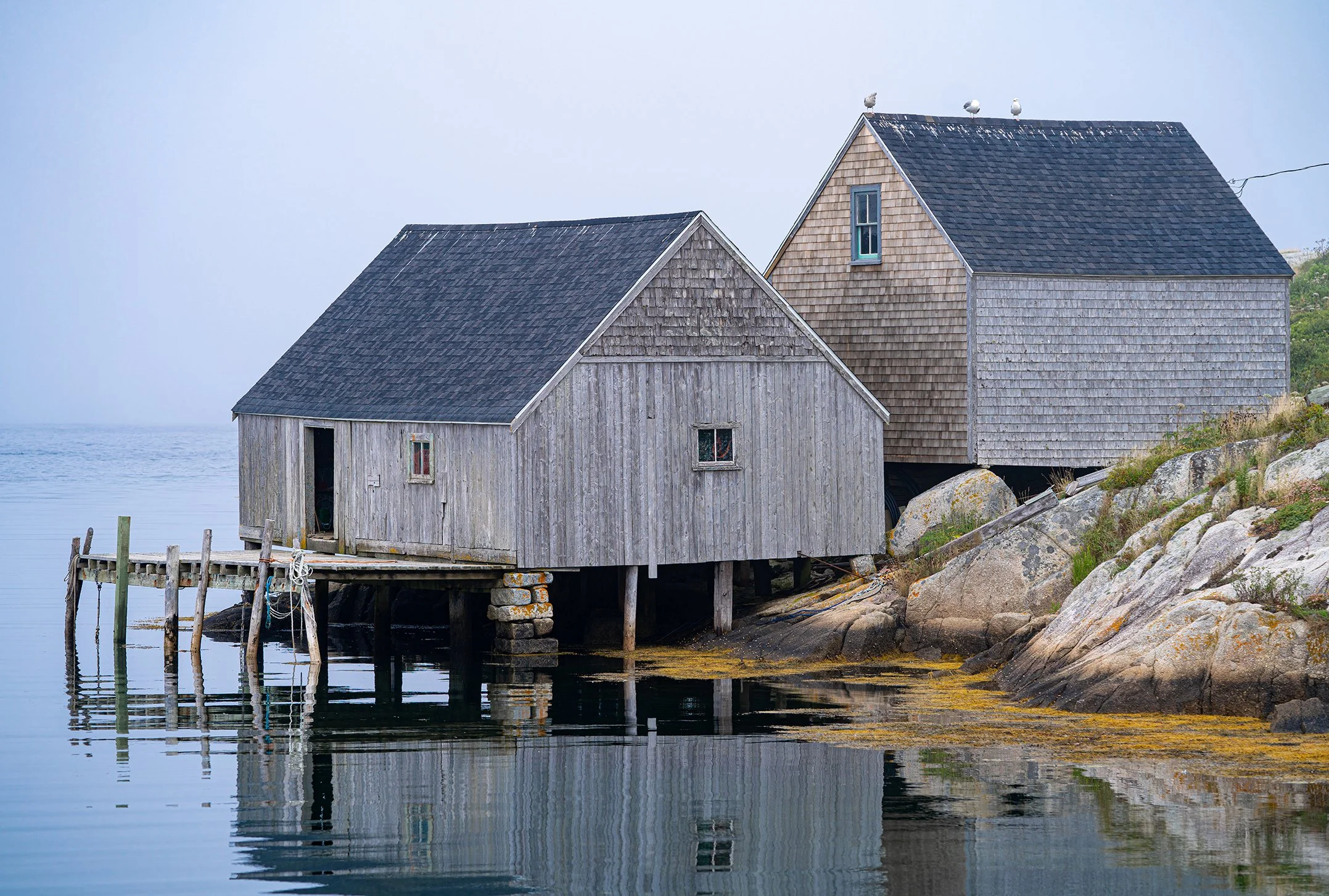 Peggys Cove 2022-09032.jpg