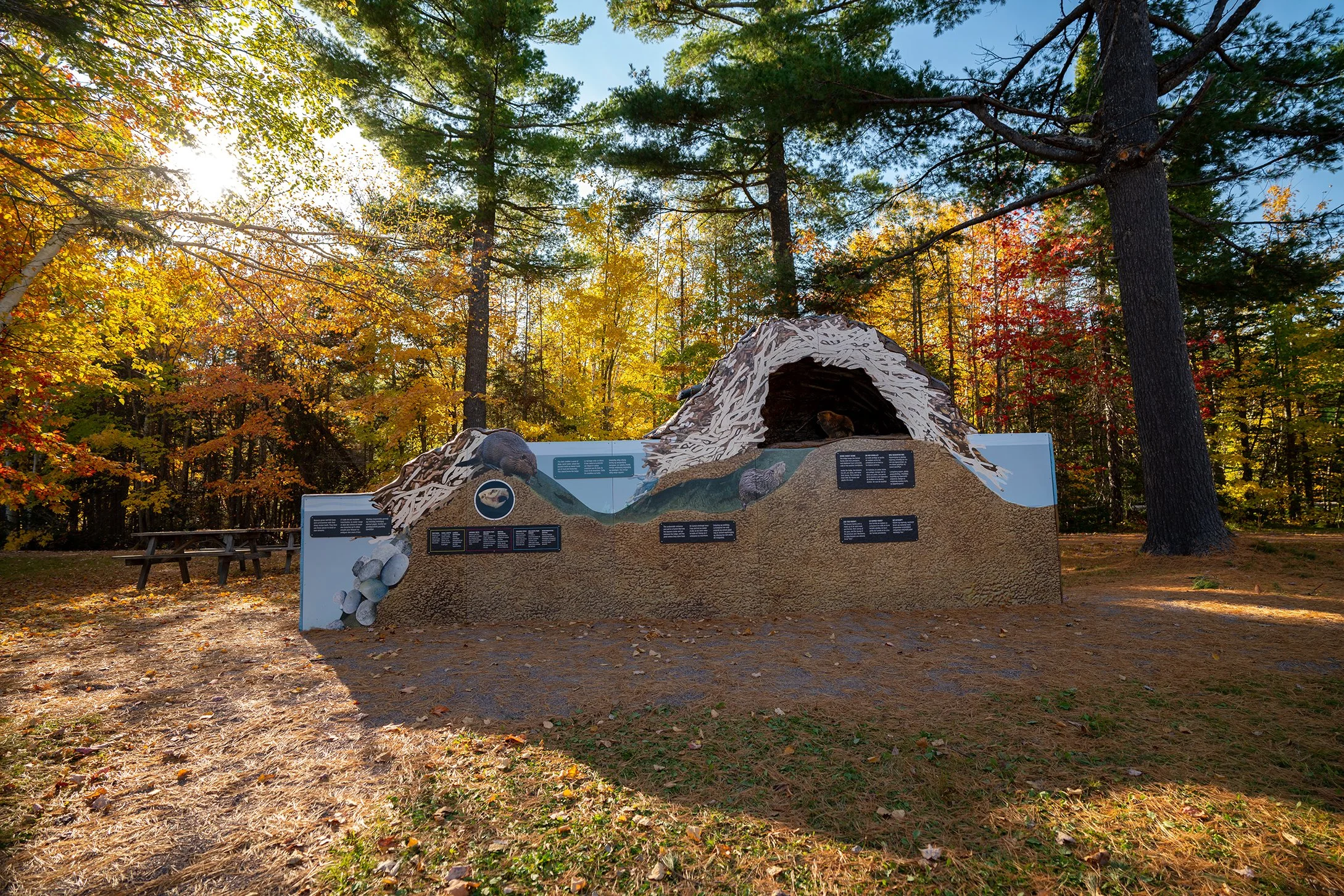 KOUCHIBOUGUAC Oct 2022-01739.jpg