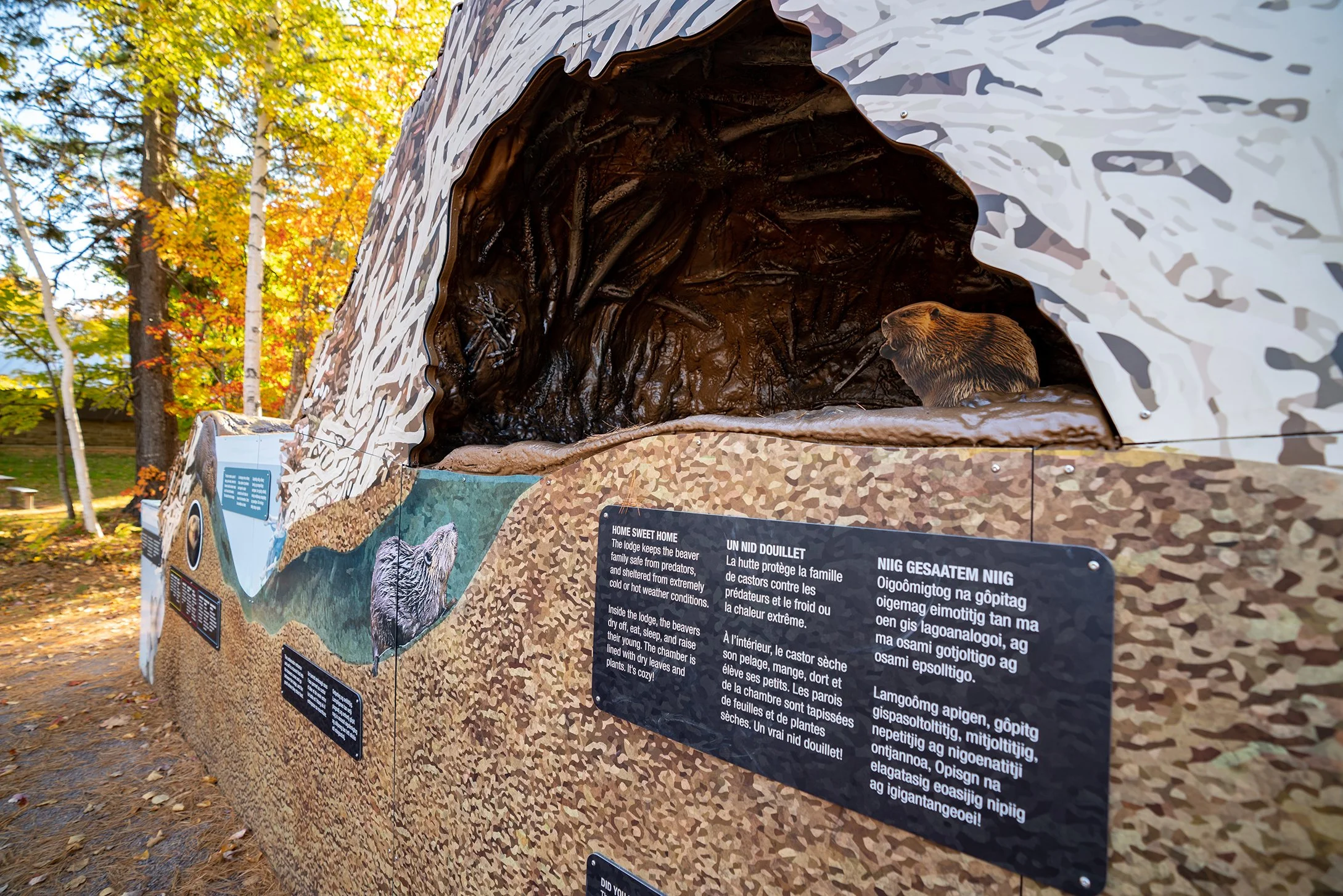 KOUCHIBOUGUAC Oct 2022-01770.jpg