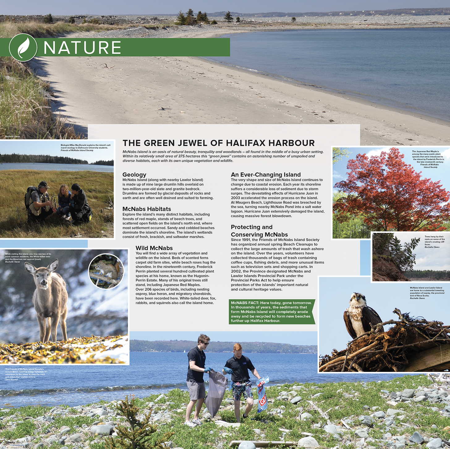 Screenshot 2022-11-23 at 7.54.54 AM.png