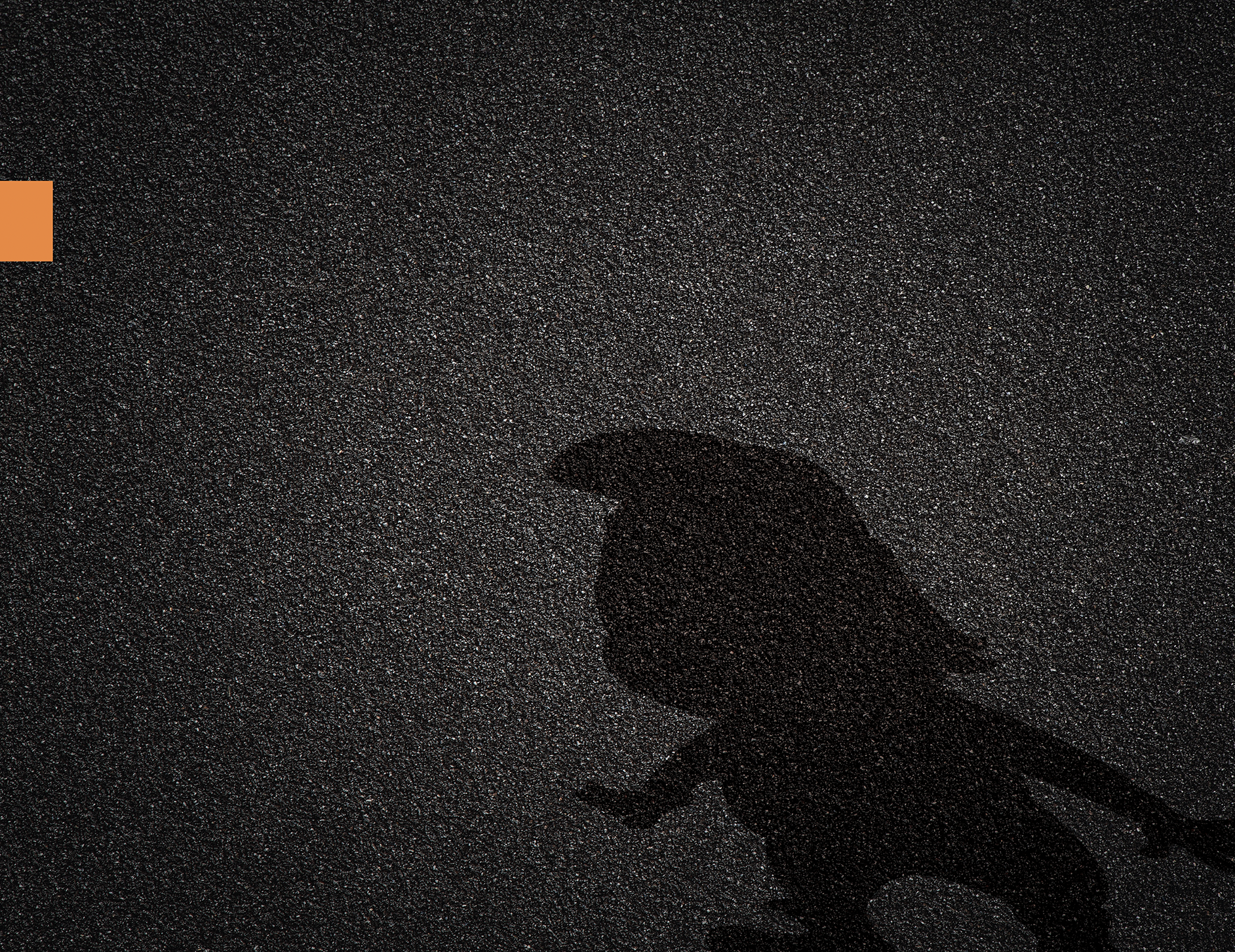 Screenshot 2023-02-06 at 11.22.58 AM.png