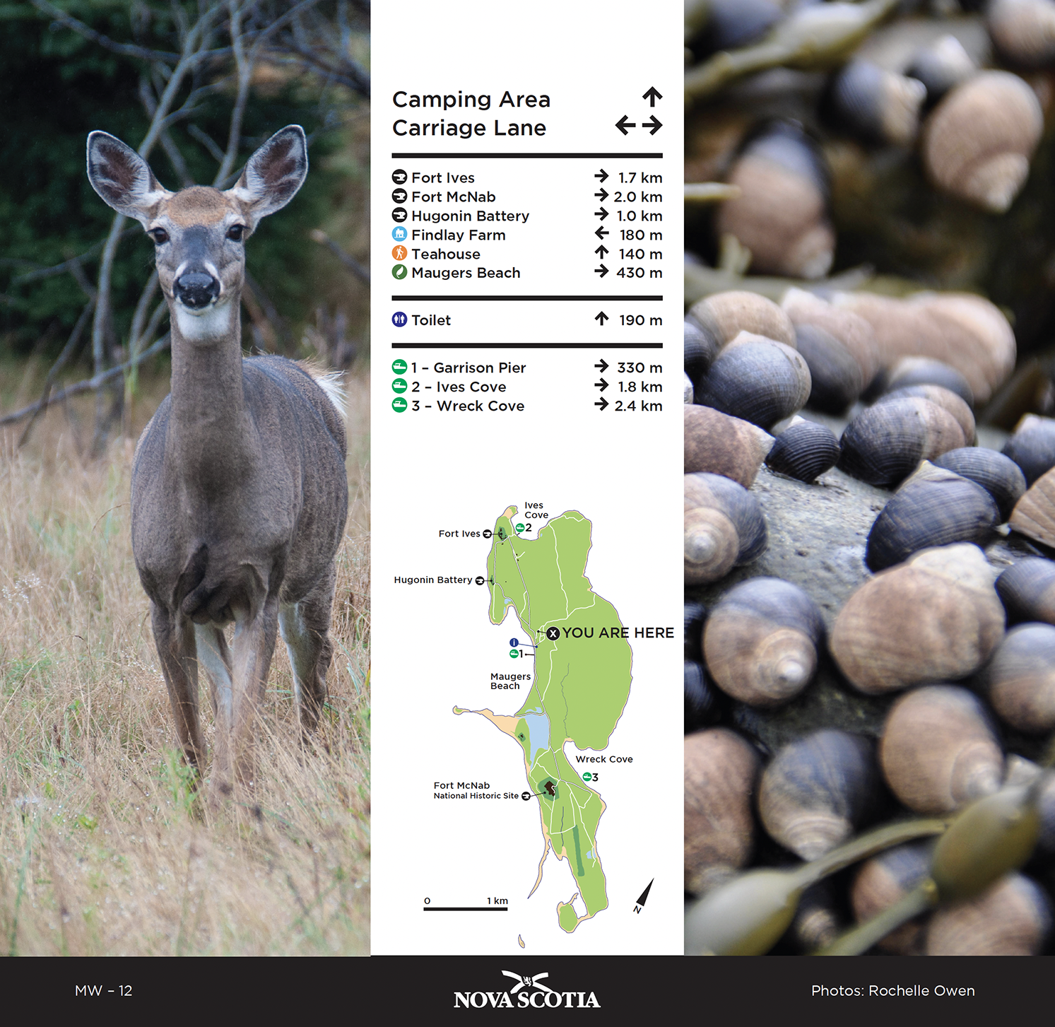 Screenshot 2023-03-14 at 6.24.53 PM.png