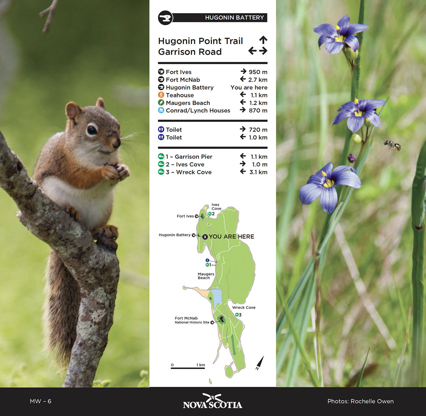 Screenshot 2023-03-14 at 6.24.19 PM.png